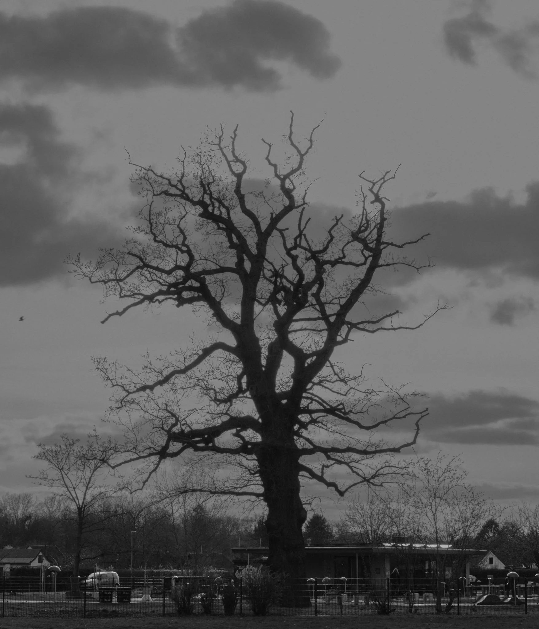 death of pride 2.JPG