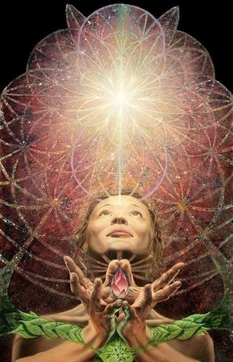 8a54b0d2ab0da6728b24b4a2bc01bd45 (1).jpg