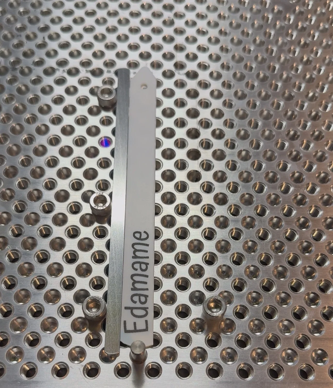 Laser Engraved Planter Labels.jpeg