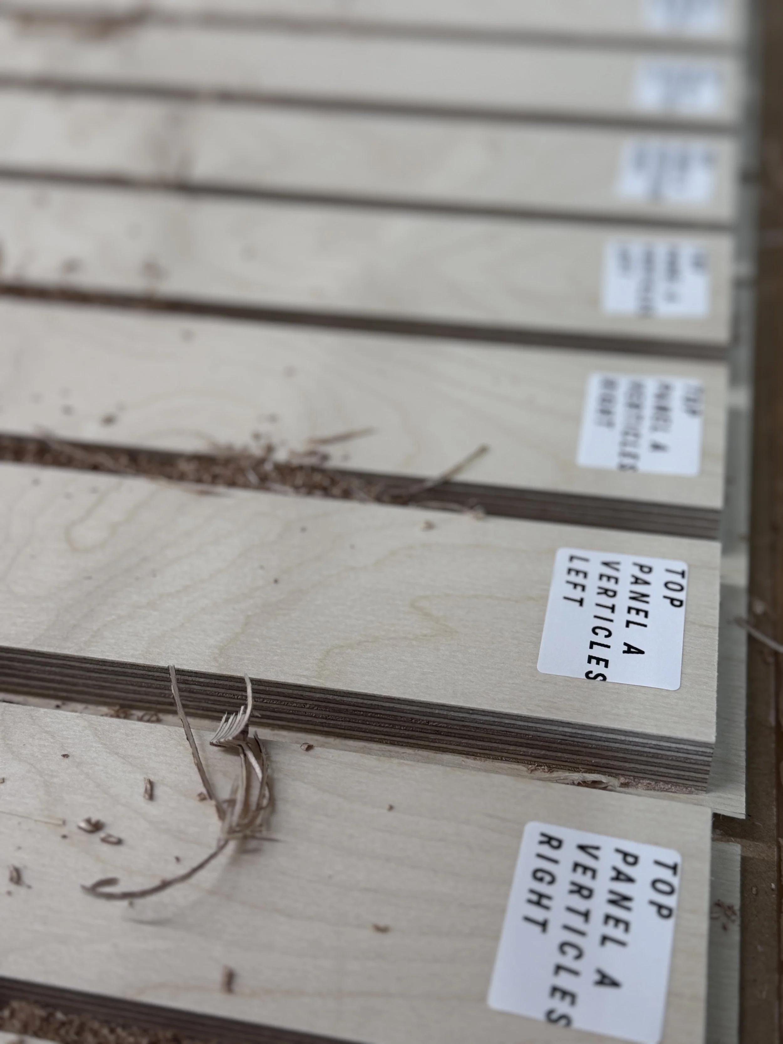 Baltic Burch for Stretched Canvas Frames MOMA.jpg