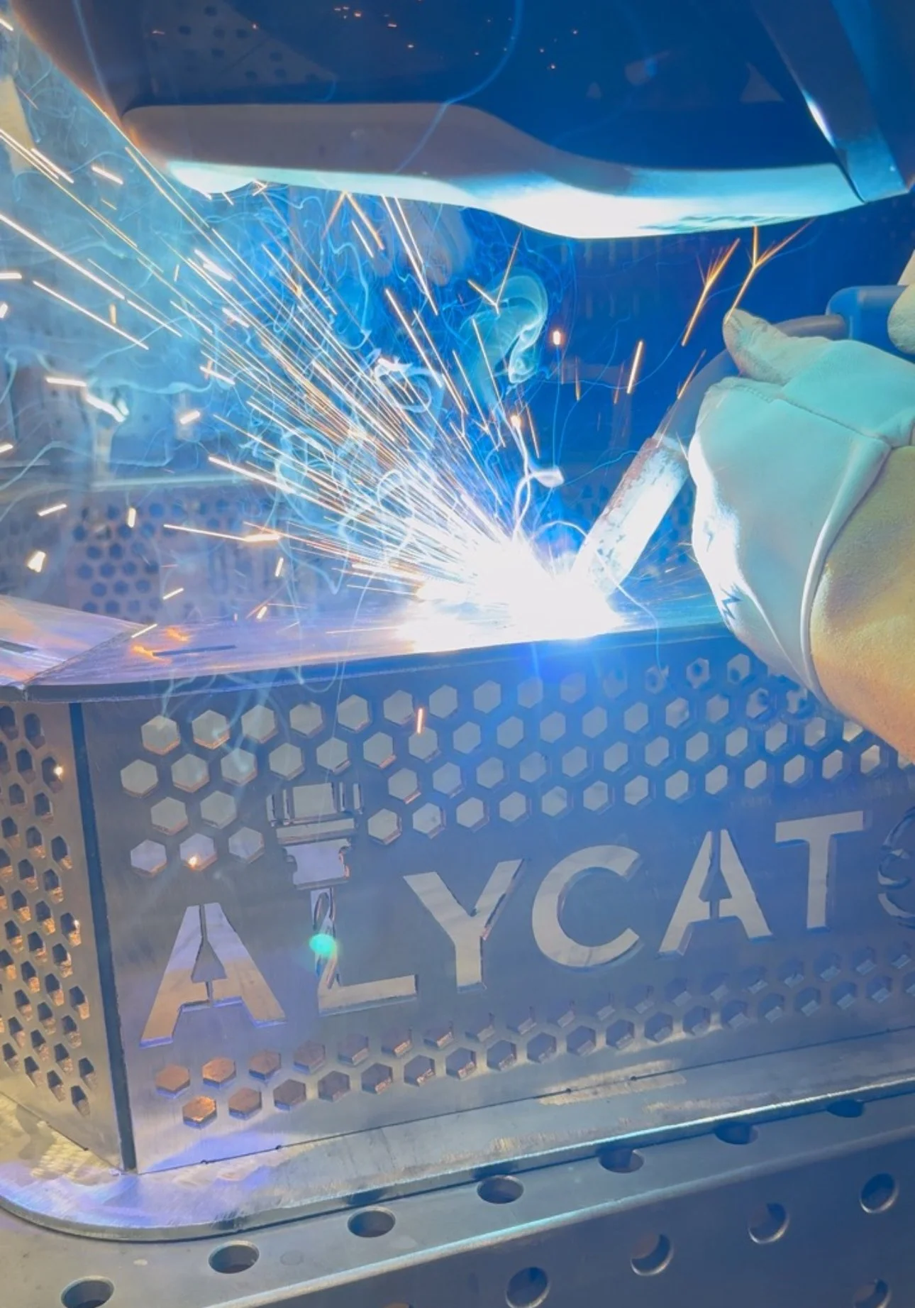 Alycat Made Firepit 3 of 4.JPG.jpeg