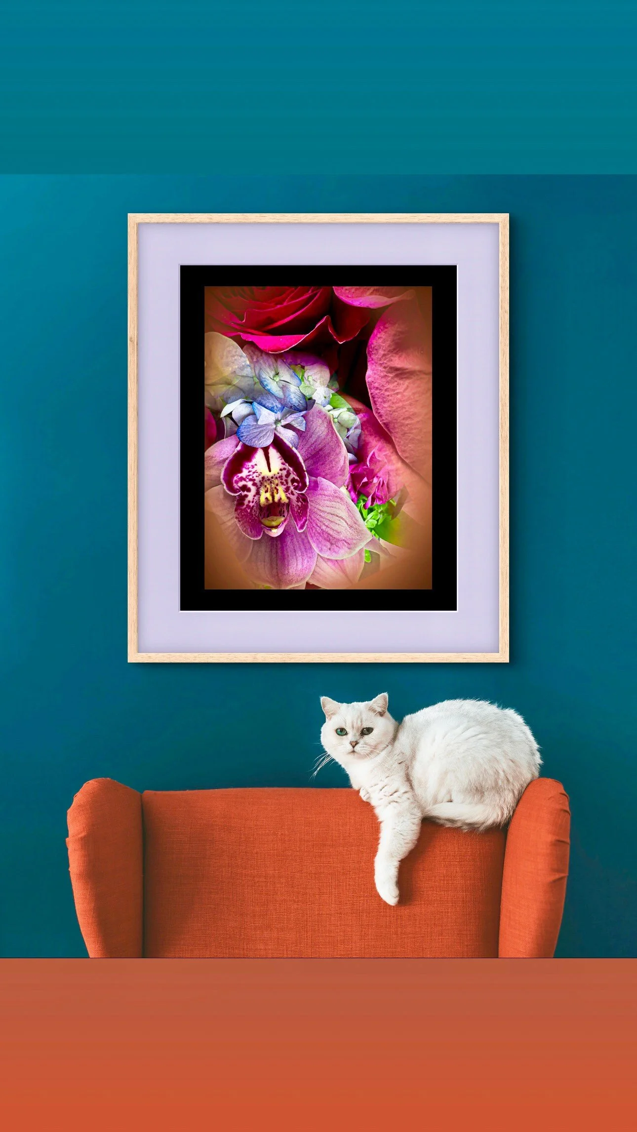 A white cat with piercing eyes sitting on an orange chair, with a framed floral artwork featuring pink, purple, and white flowers hanging on a teal wall behind it.