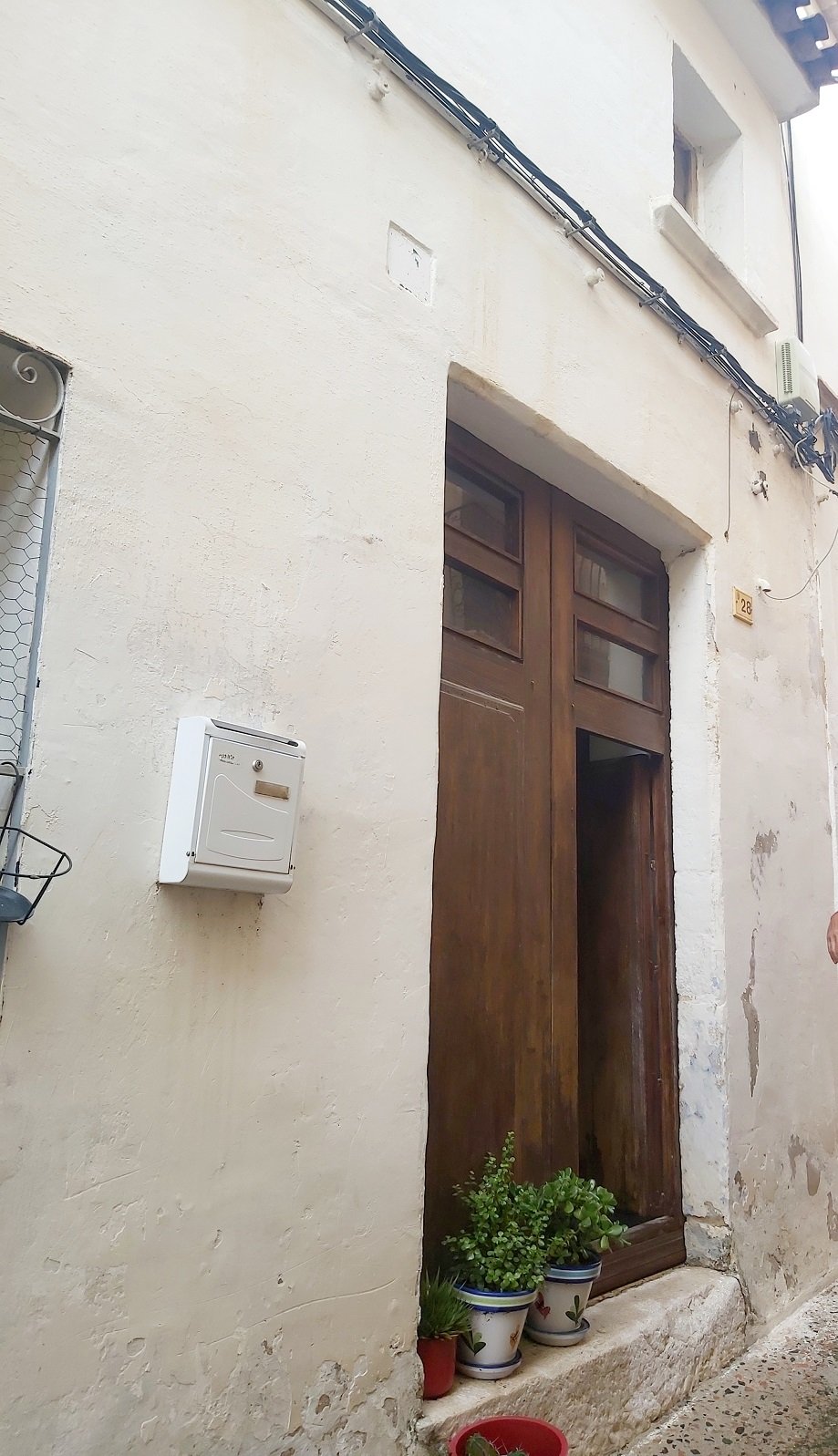 Old wooden door with potted plants and a white mailbox on a rustic wall