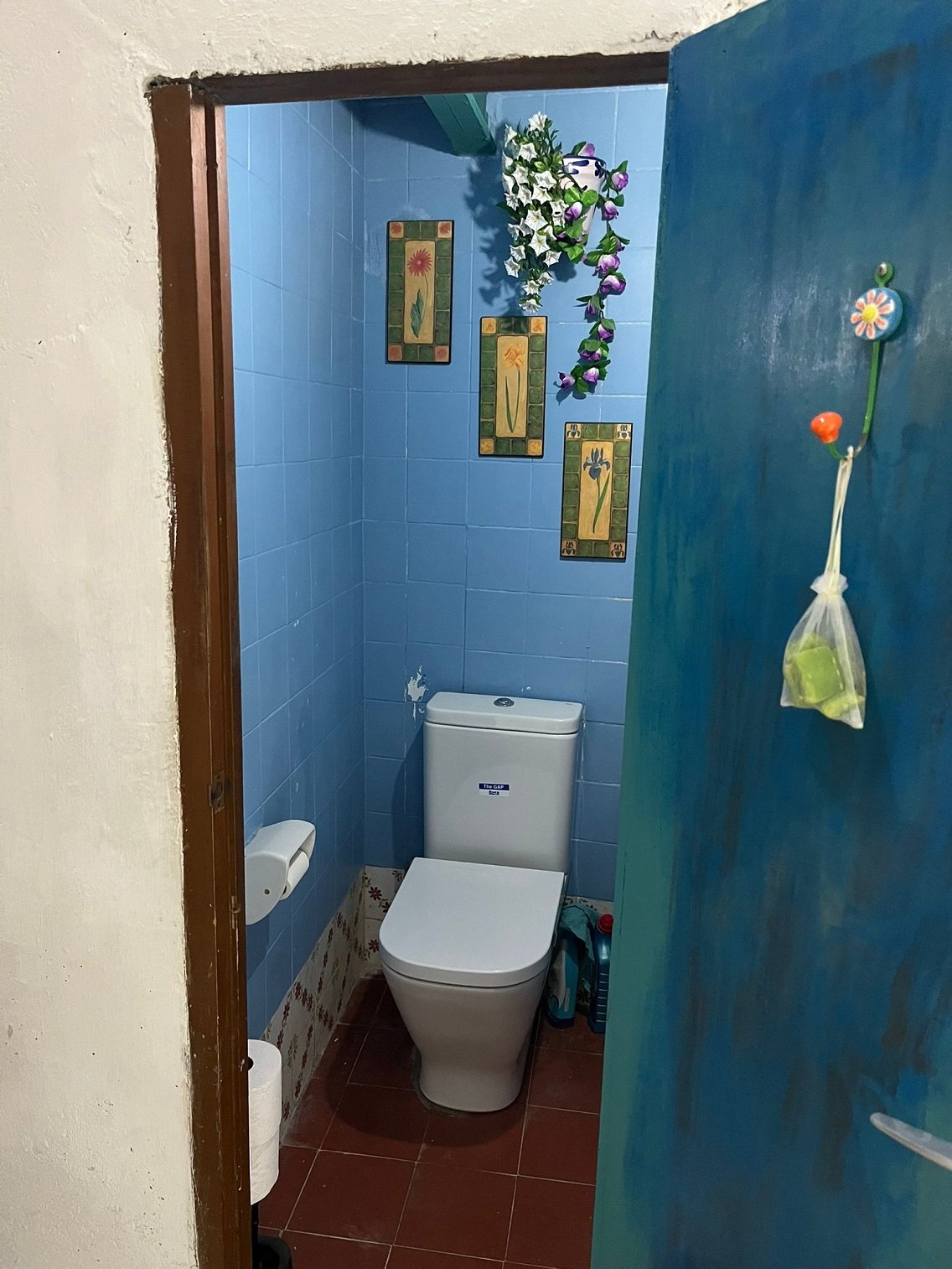 Small bathroom with blue tiled walls, decorative floral wall art, a white toilet, a toilet paper roll, and cleaning supplies on the floor. A blue door is partially open, with a hanging bag and hook.
