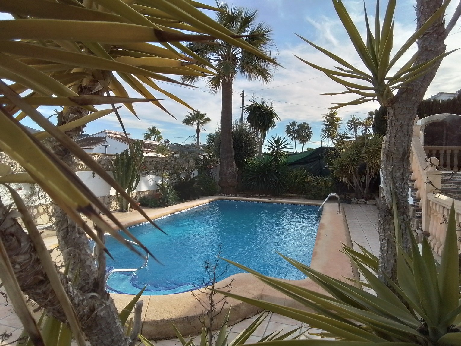 Outdoor swimming pool surrounded by palm trees and tropical plants, with a tiled patio area.