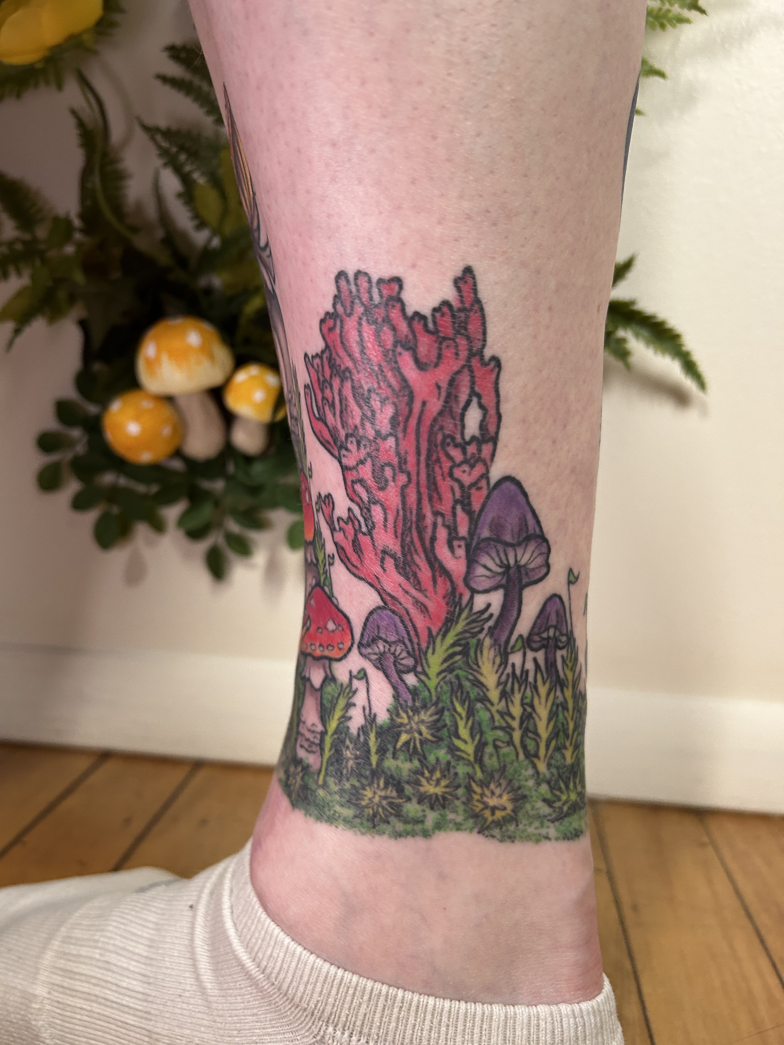 IMG_2085.jpeg