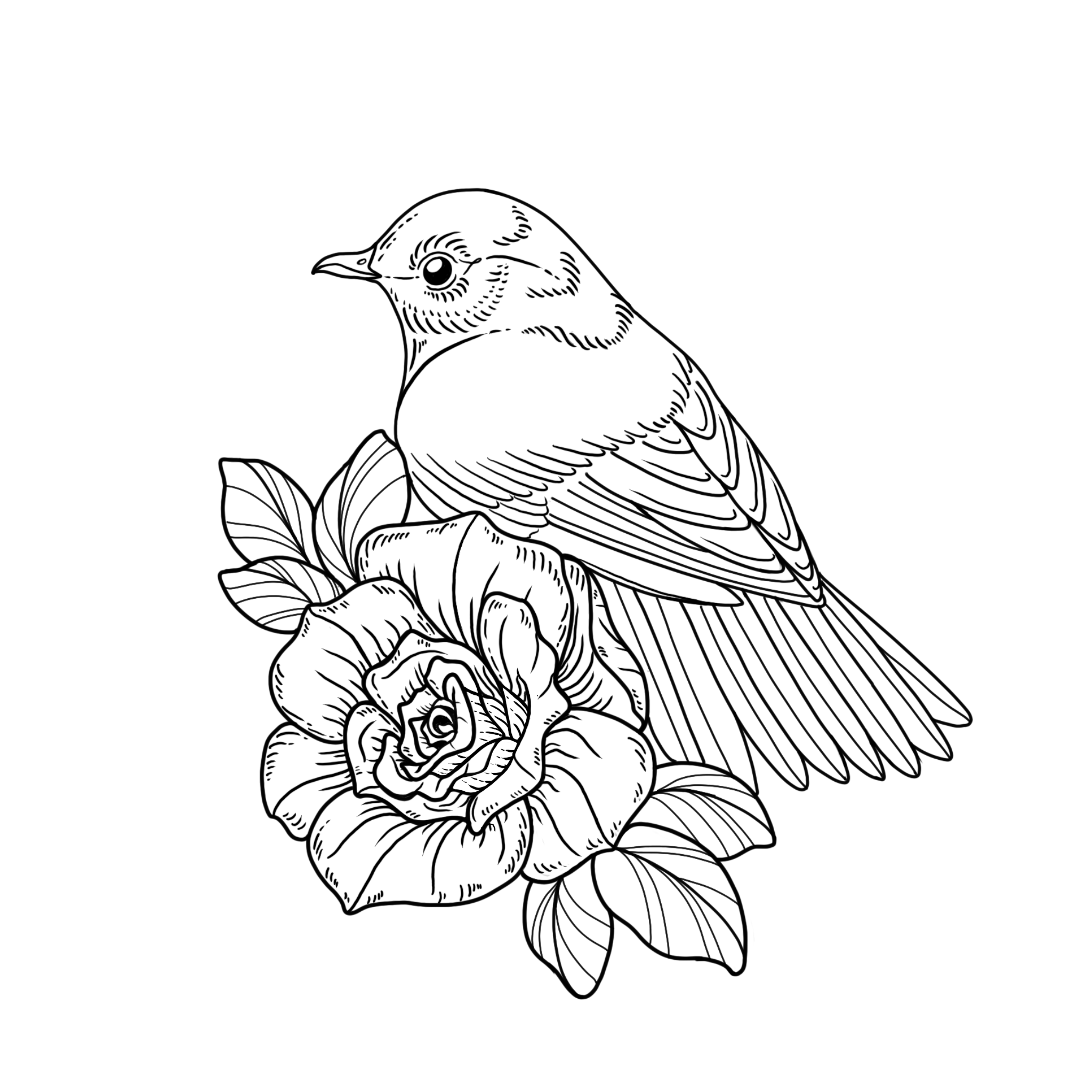 Songbird | $250-$350