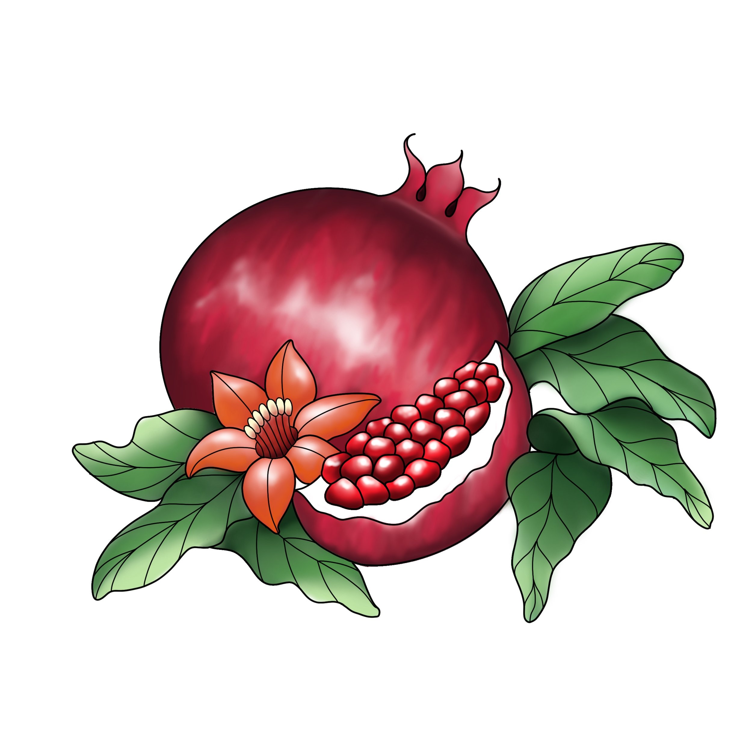 Color Pomegranate | $500-$600