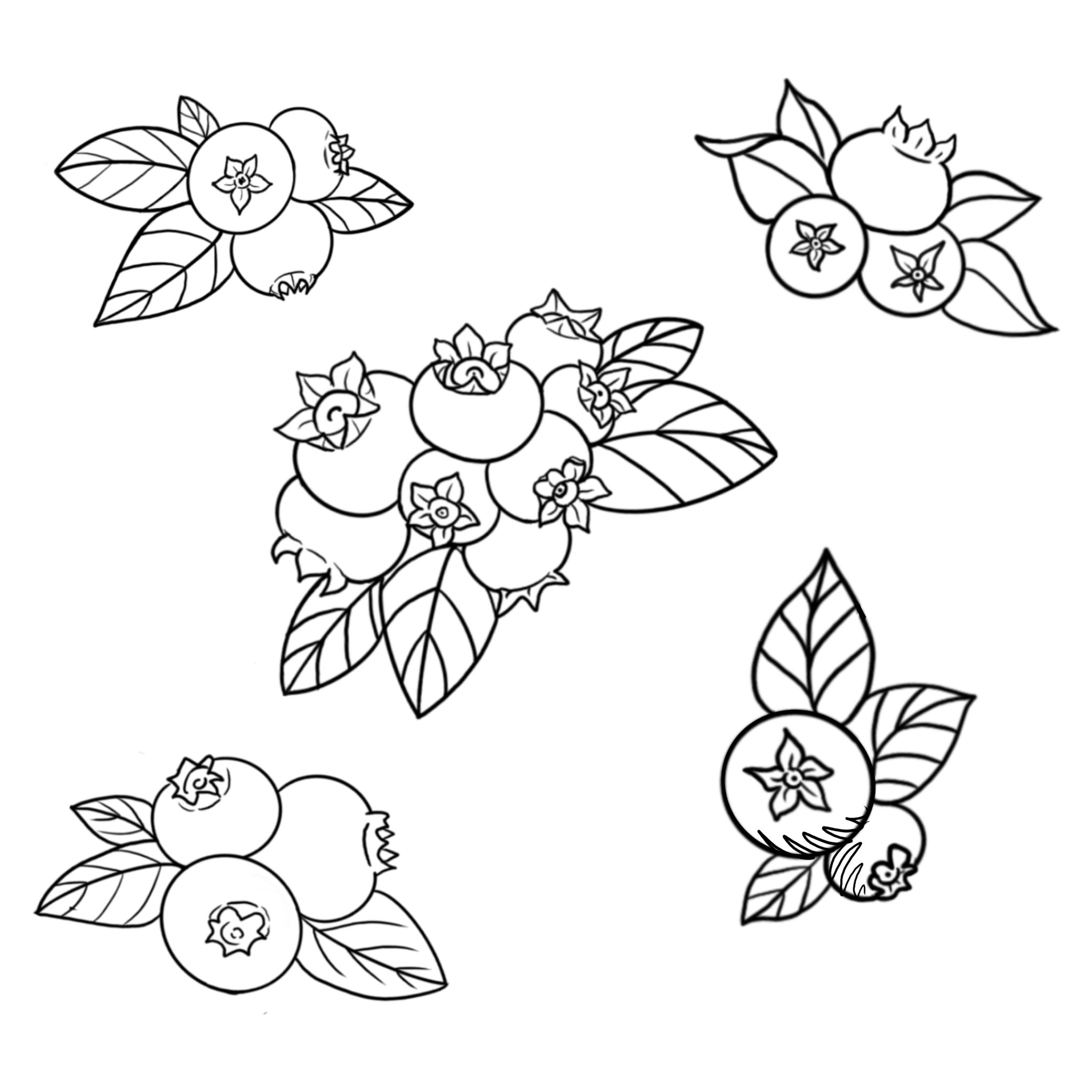 Blueberries; size 3in min, full price: $150, sale price: $113