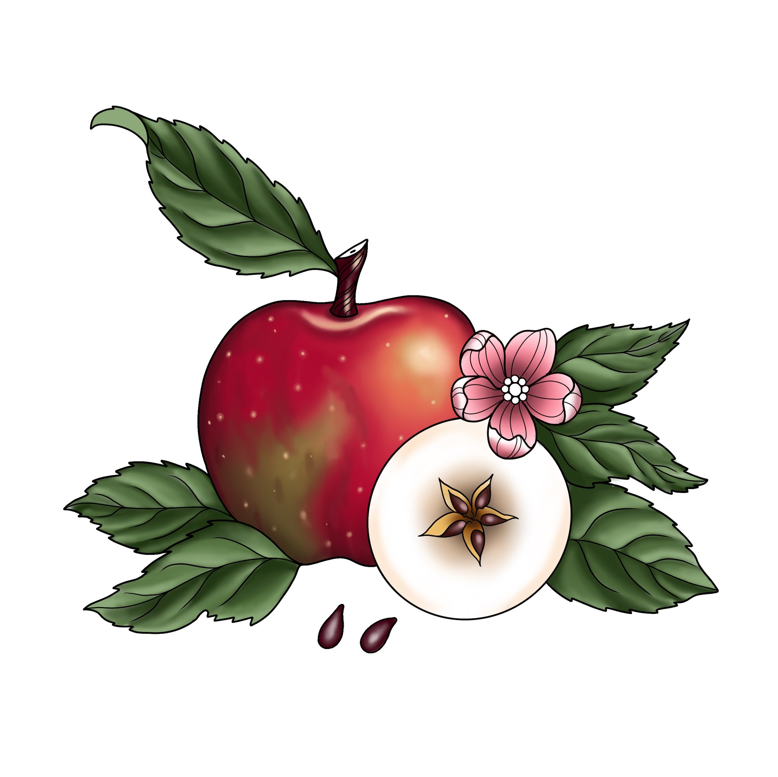Color Apple | $500-$600