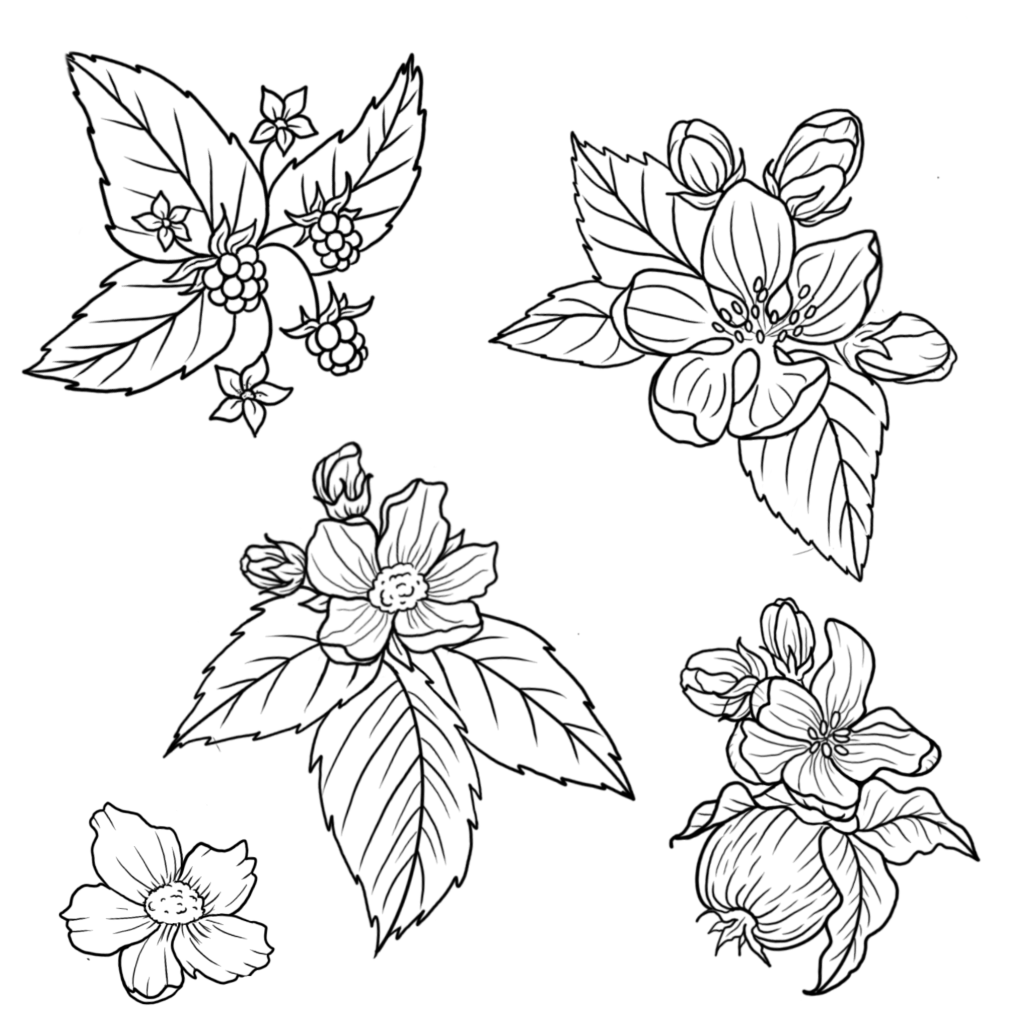 Flowers & Berries; size 3in min, full price: $150, sale price: $113