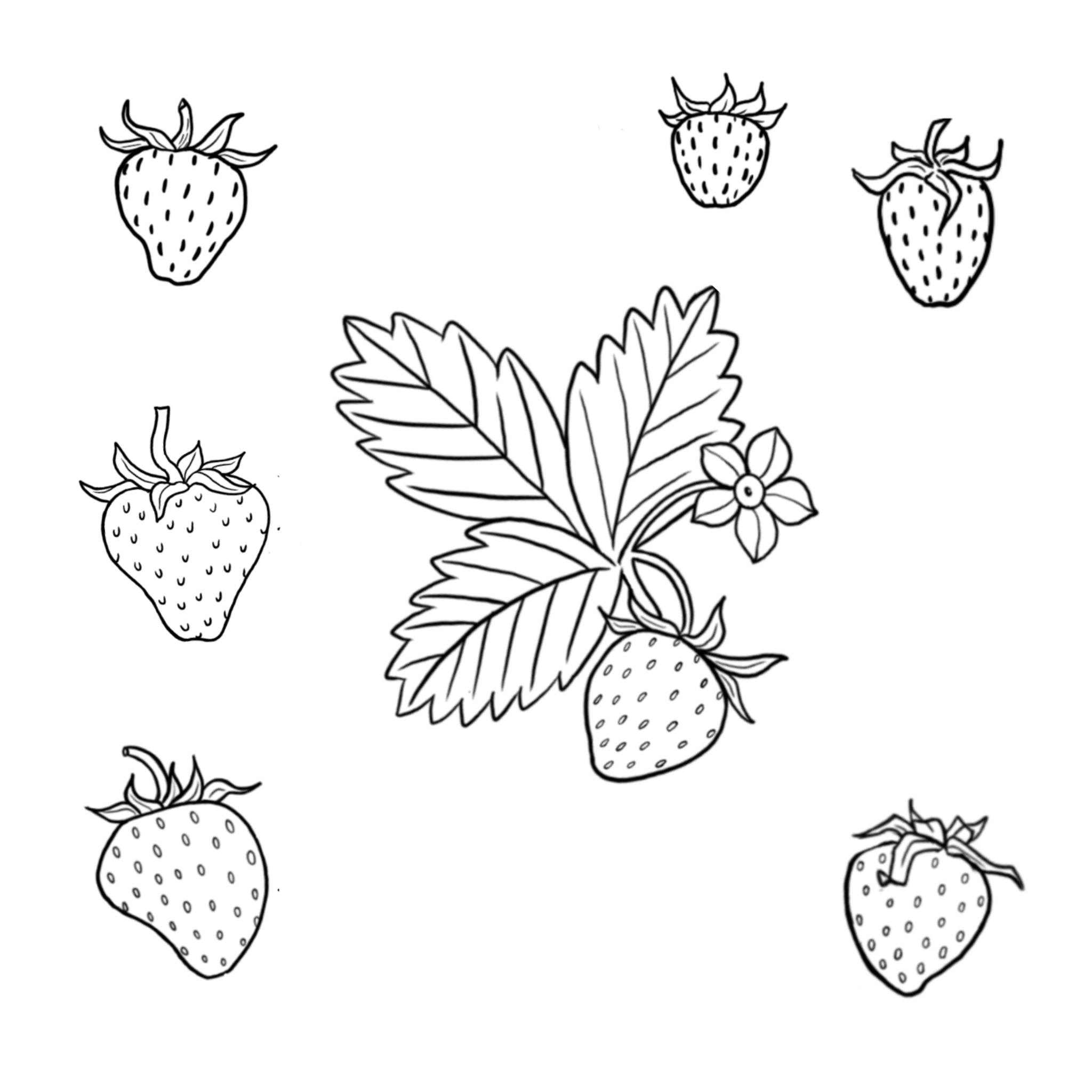 Strawberries; size 3in min, full price: $100-150, sale price: $75-113