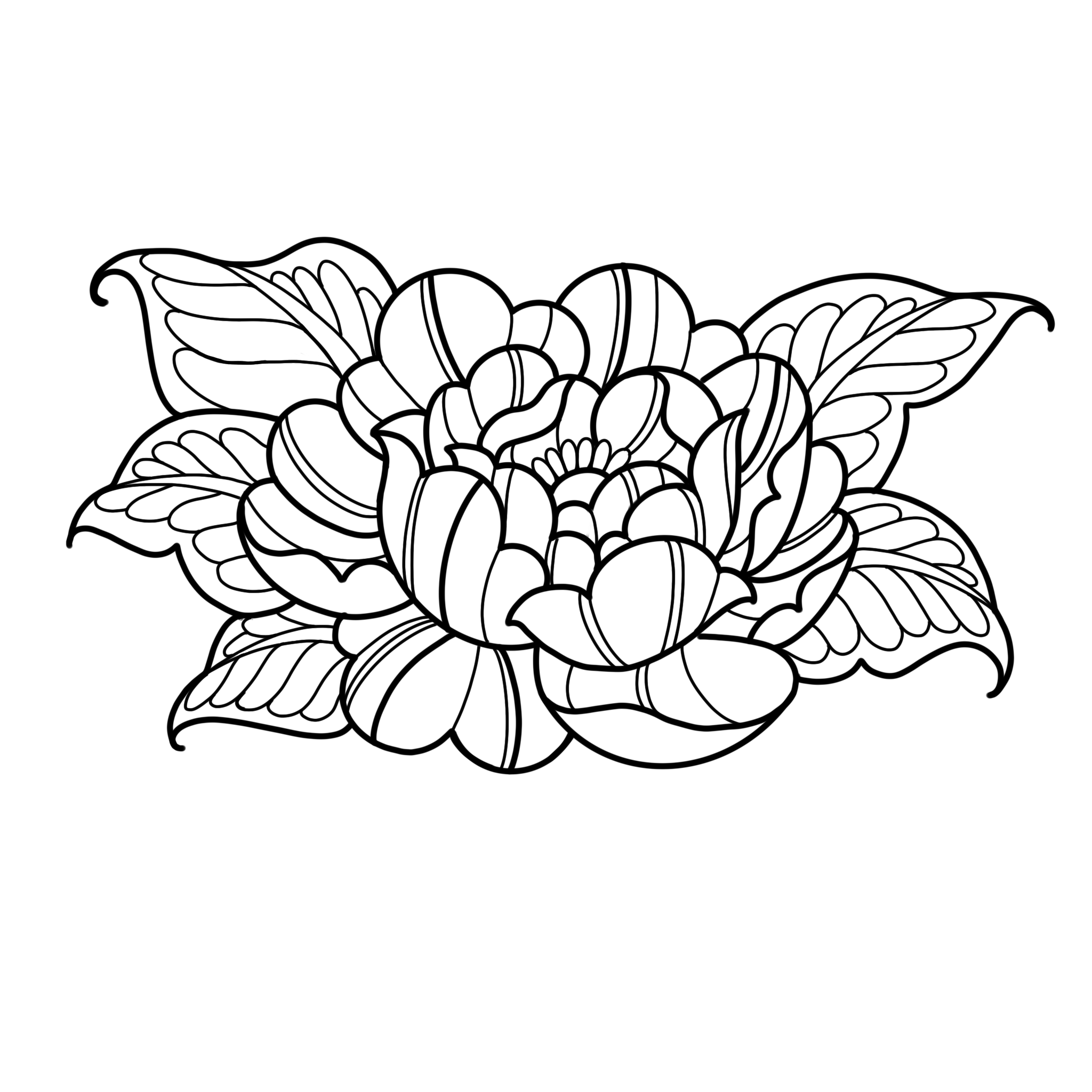 Linework Peony; 4-5in minimum, full price $250, sale price $187
