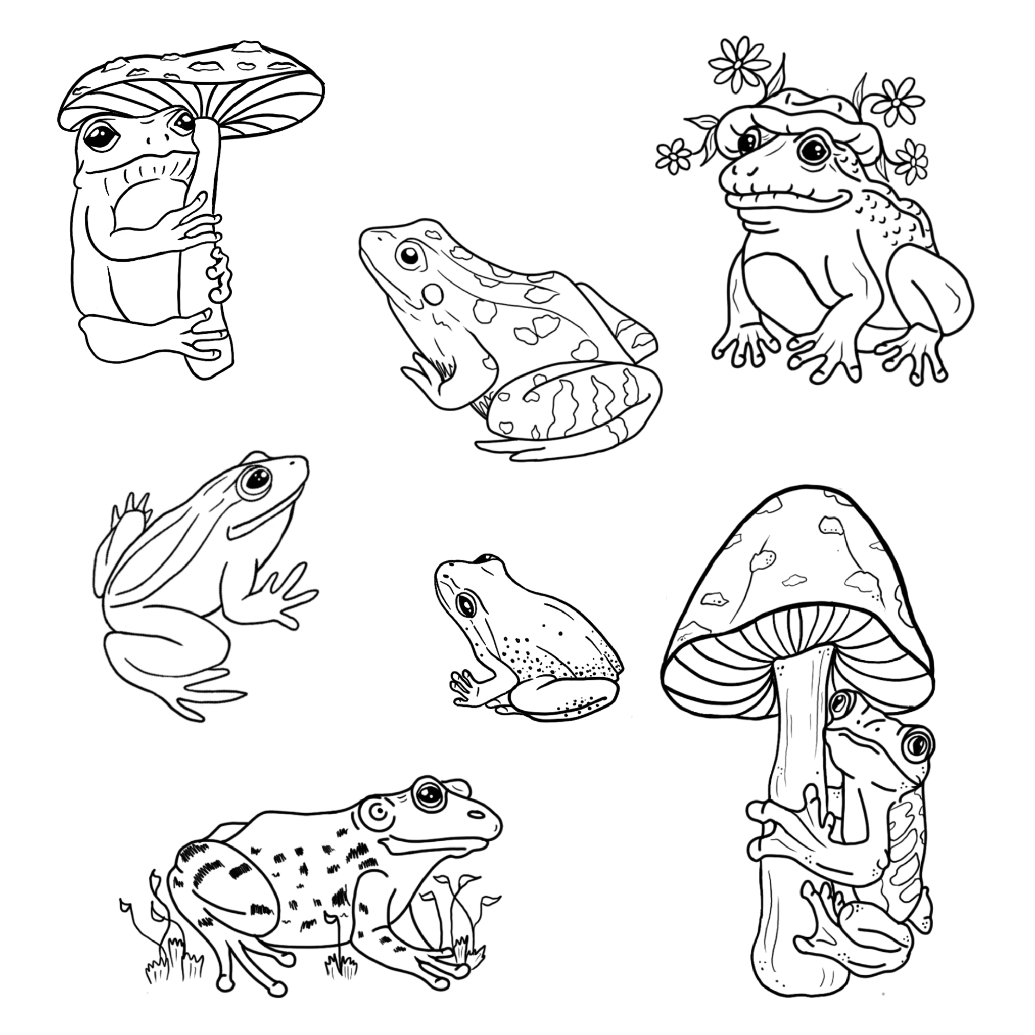 Frogs; size: 3-4in min, full price: $150, sale price: $113