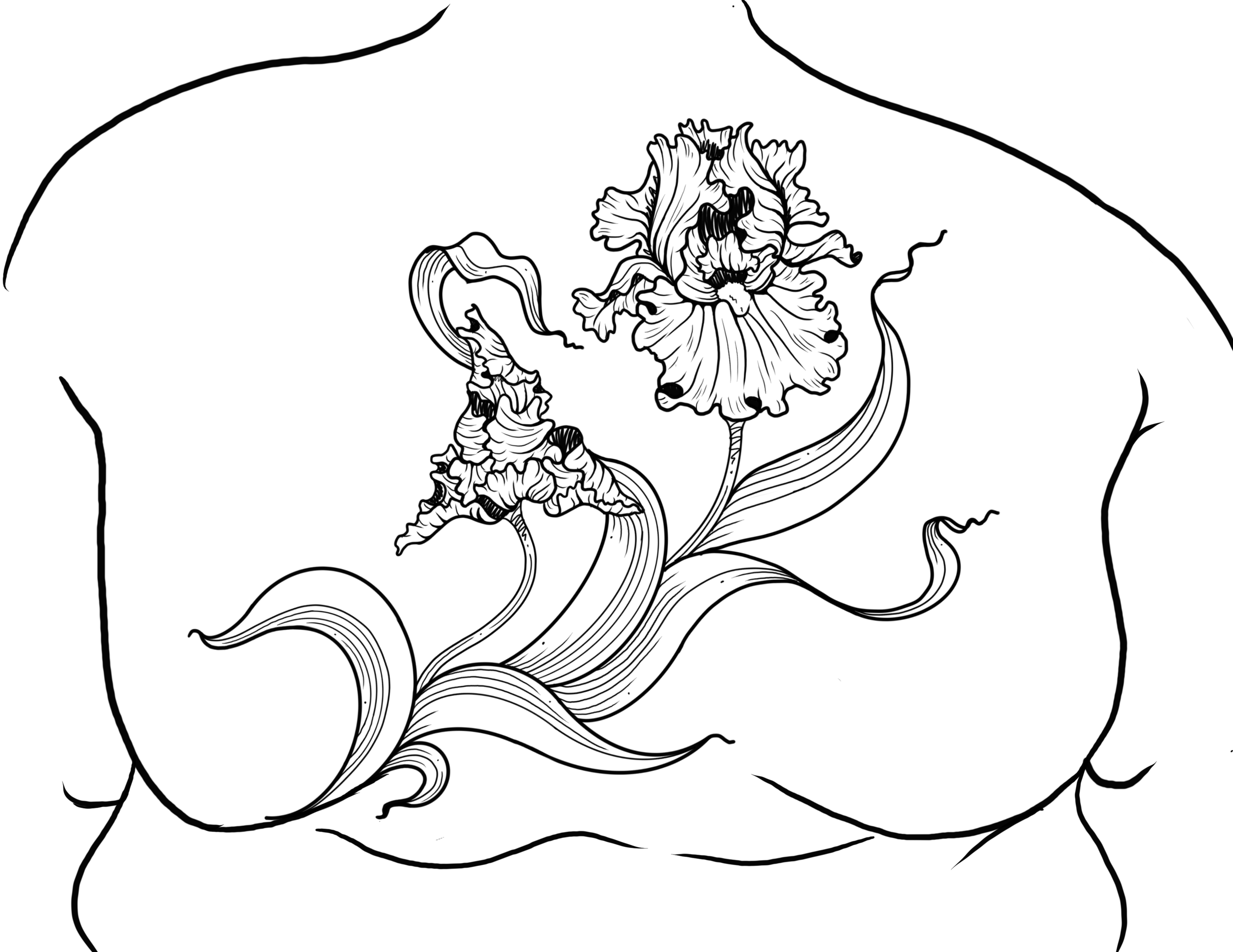 linework irises, roll adornment back piece, ~4hrs, $650