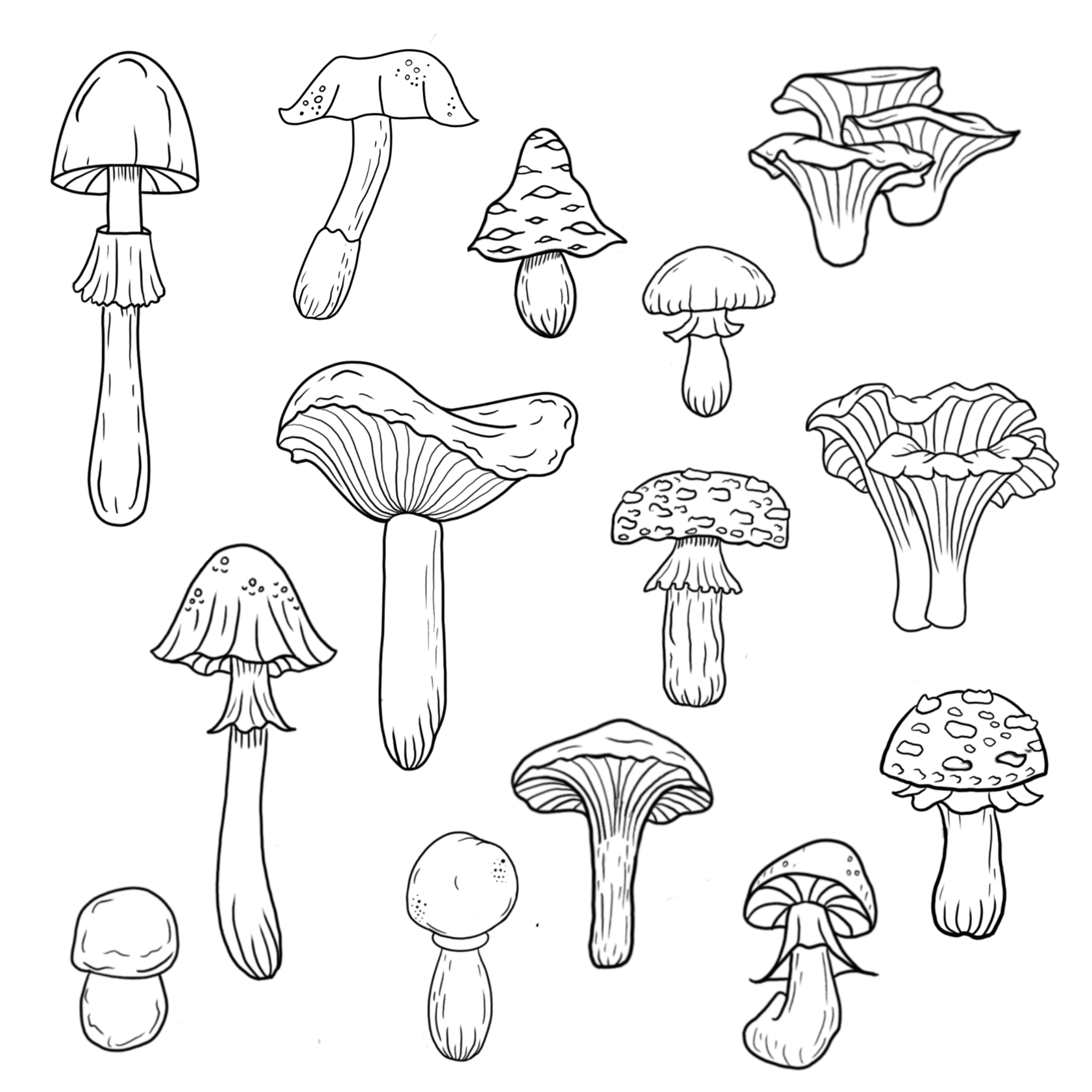 Mushrooms; size 3in min, full price: $125, sale price: $94