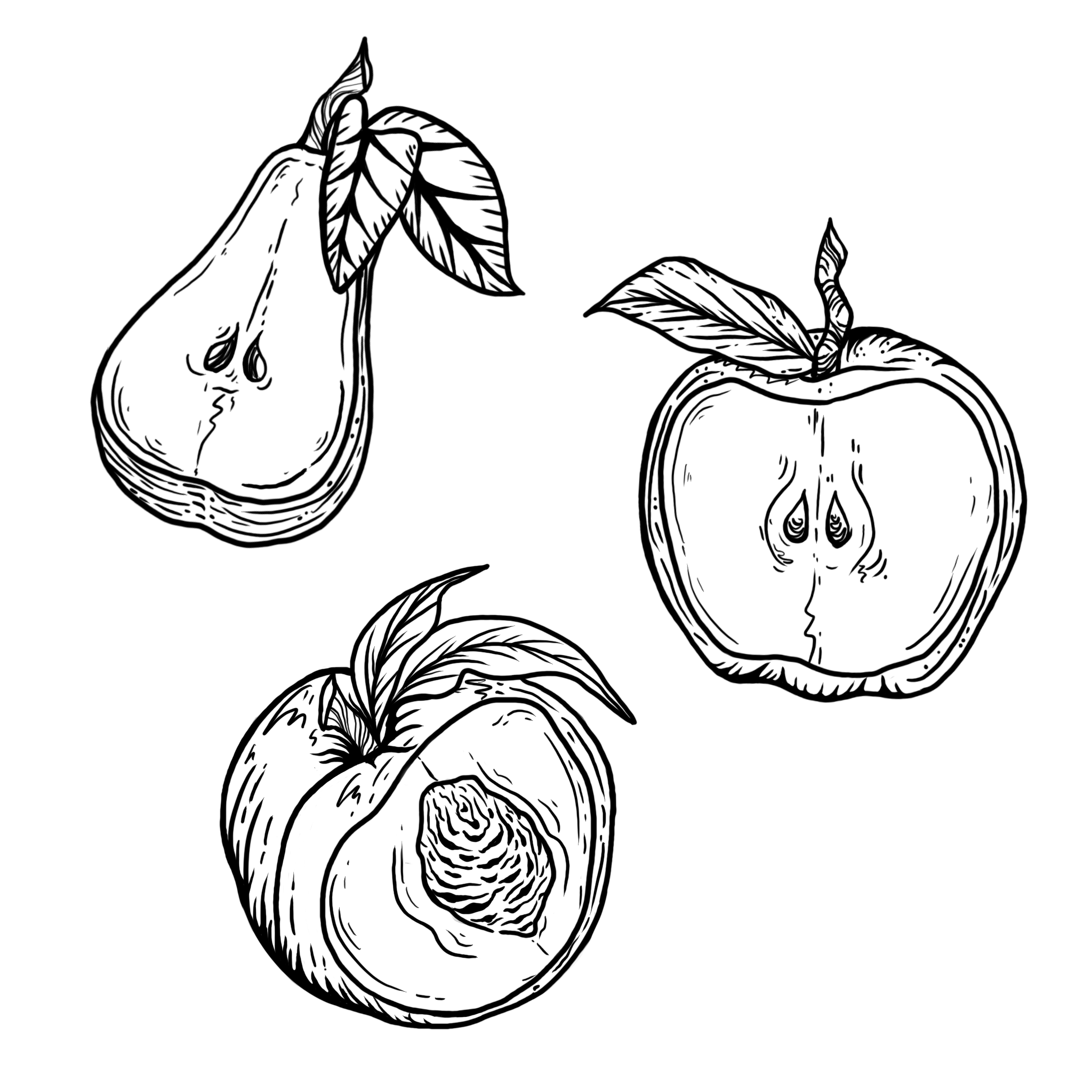 Woodcut Fruits; size: 4-5in min, full price: $250, sale price: $187