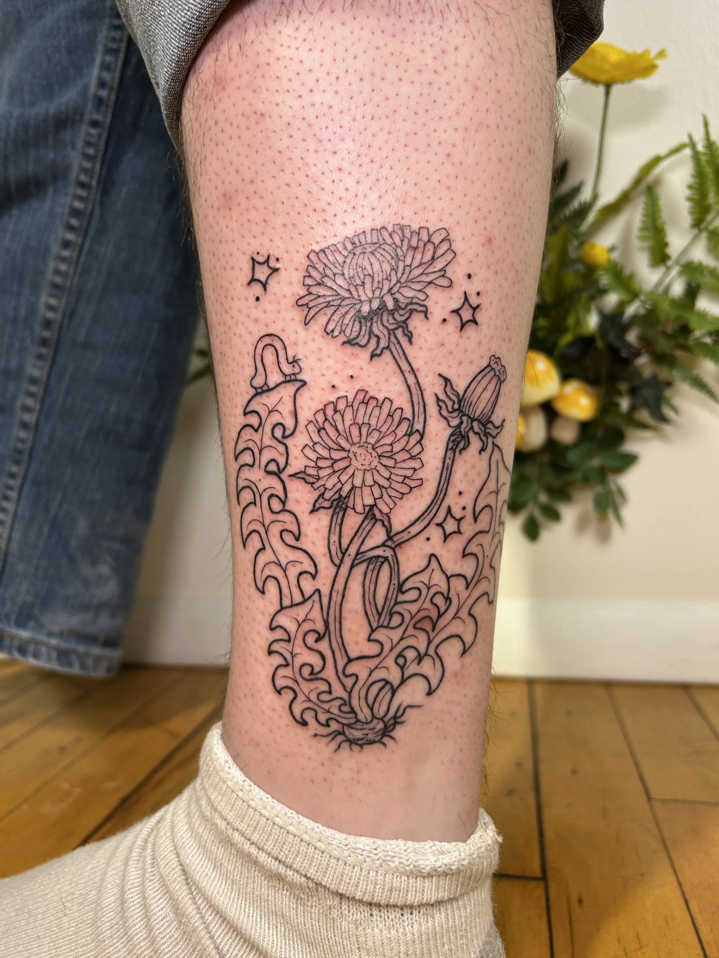 Linework Botanical Dandelion