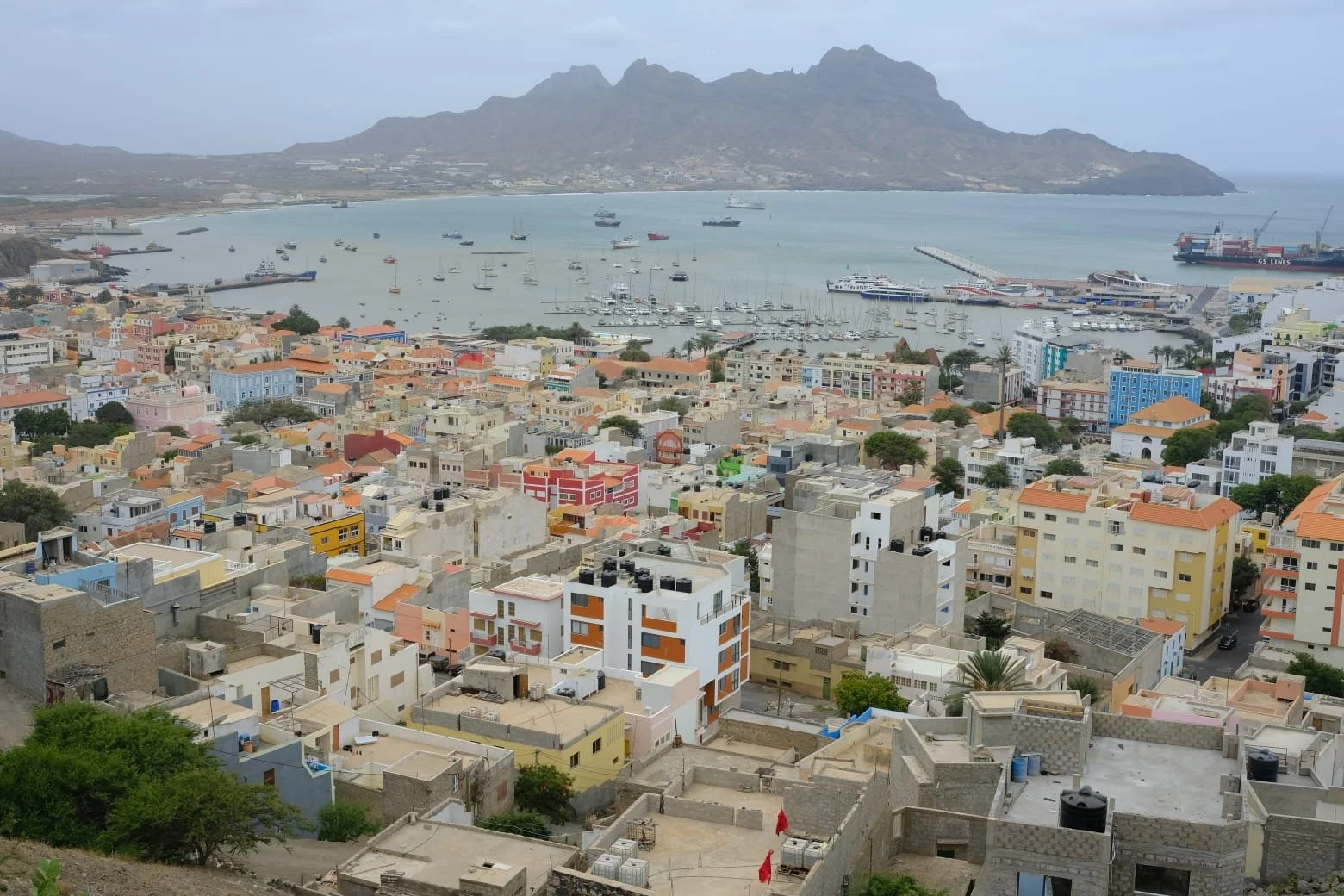 PHOTO-2026-01-21-18-49-23 3.jpg