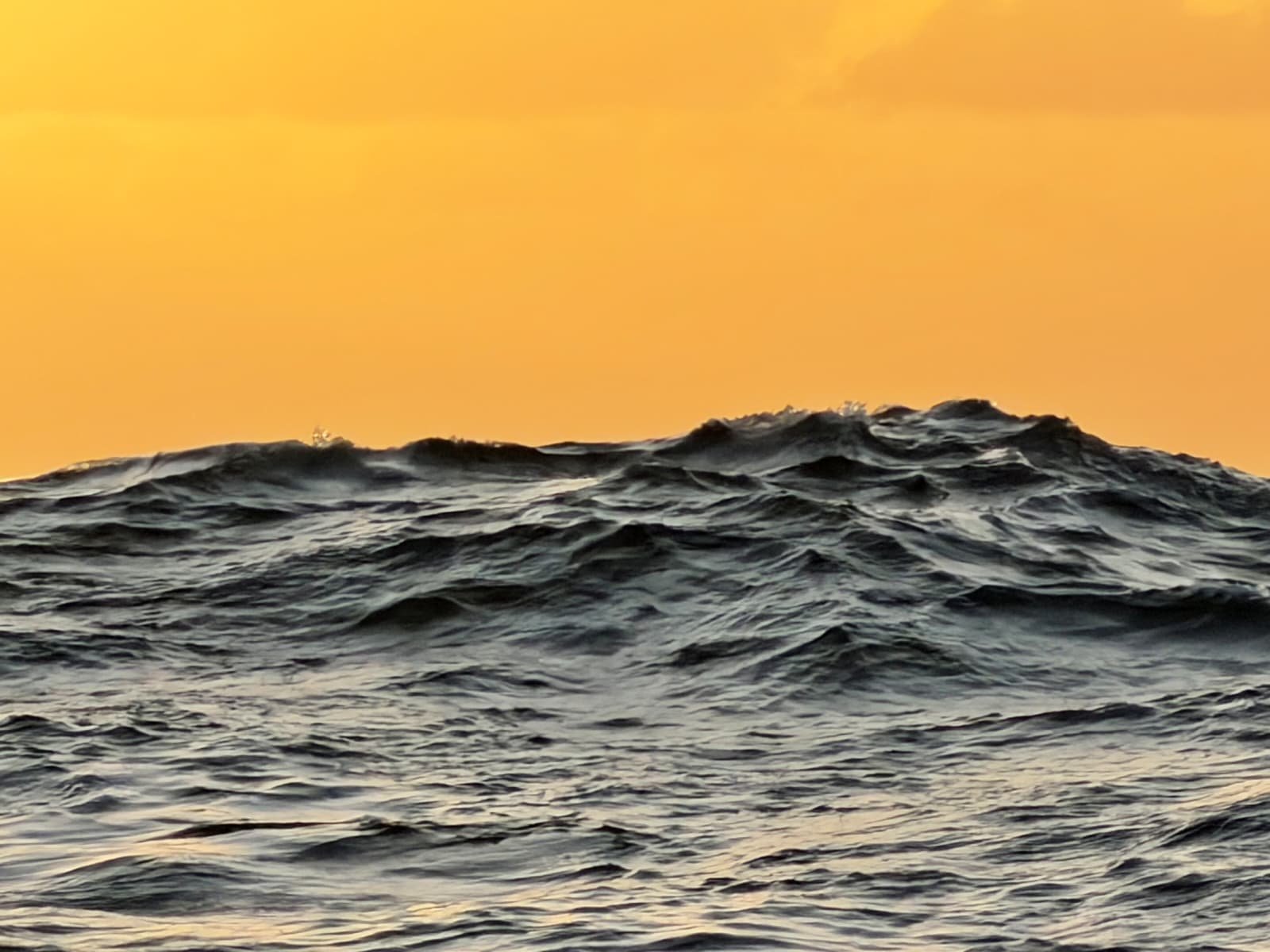 WhatsApp Image 2026-03-25 at 10.28.16 (1).jpeg