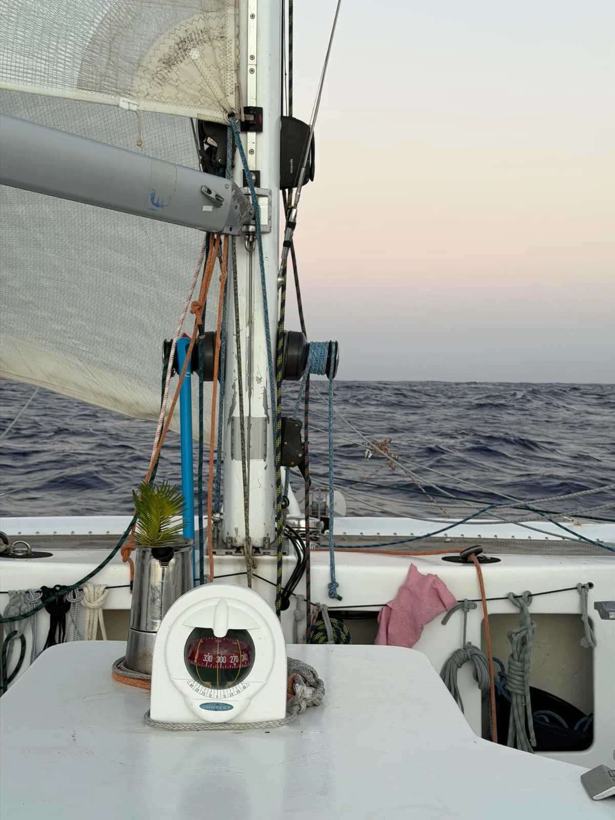 WhatsApp Image 2026-03-25 at 10.28.16 (2).jpeg