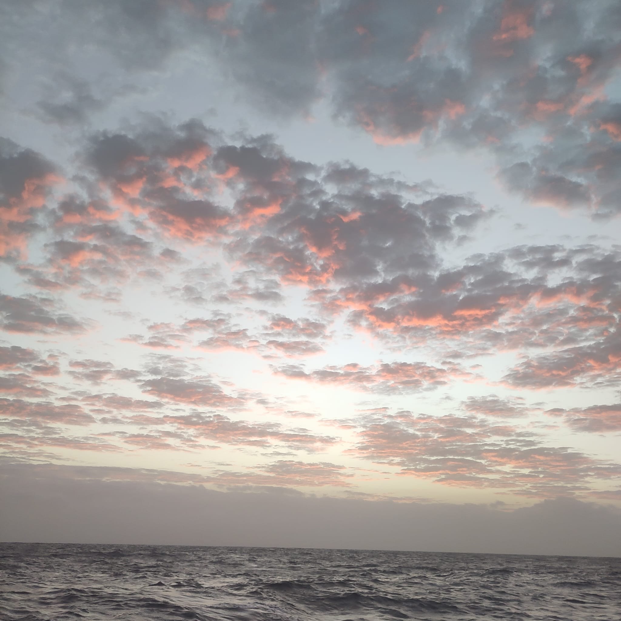 WhatsApp Image 2026-03-25 at 10.28.18.jpeg