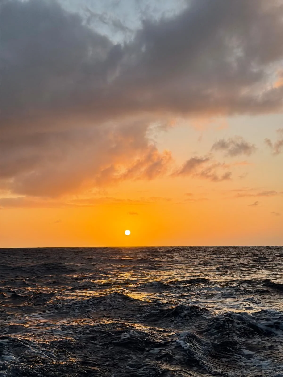 WhatsApp Image 2026-03-25 at 10.28.20 (1).jpeg