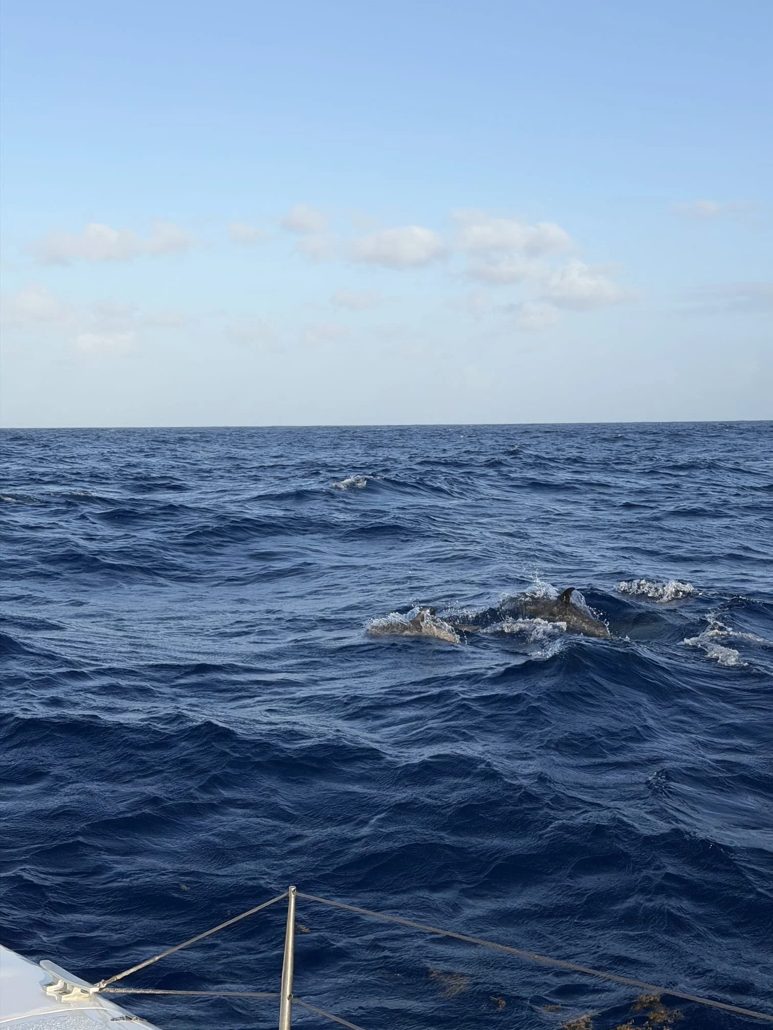 WhatsApp Image 2026-03-25 at 10.28.20 (3).jpeg