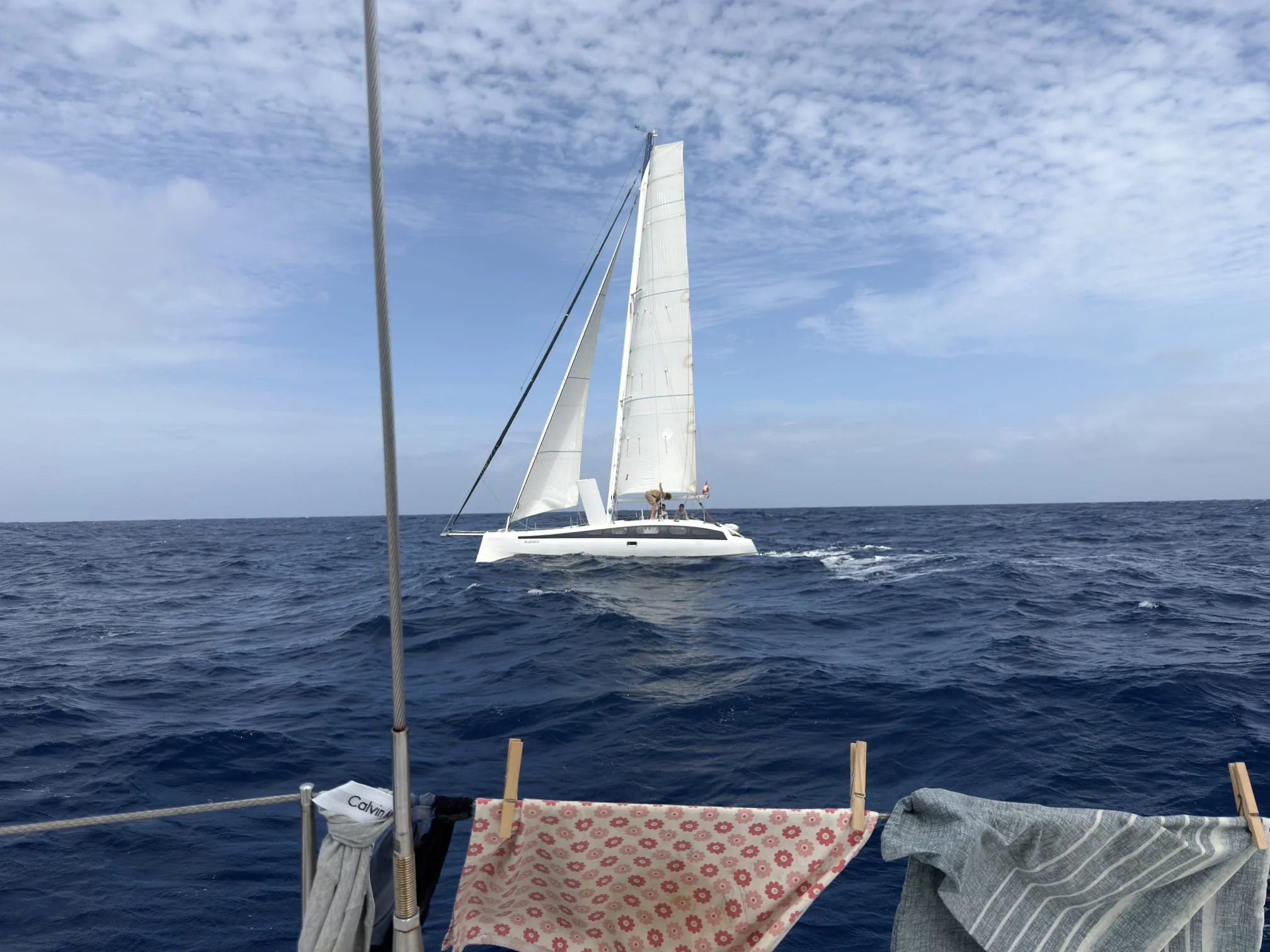 WhatsApp Image 2026-03-25 at 10.28.21 (3).jpeg