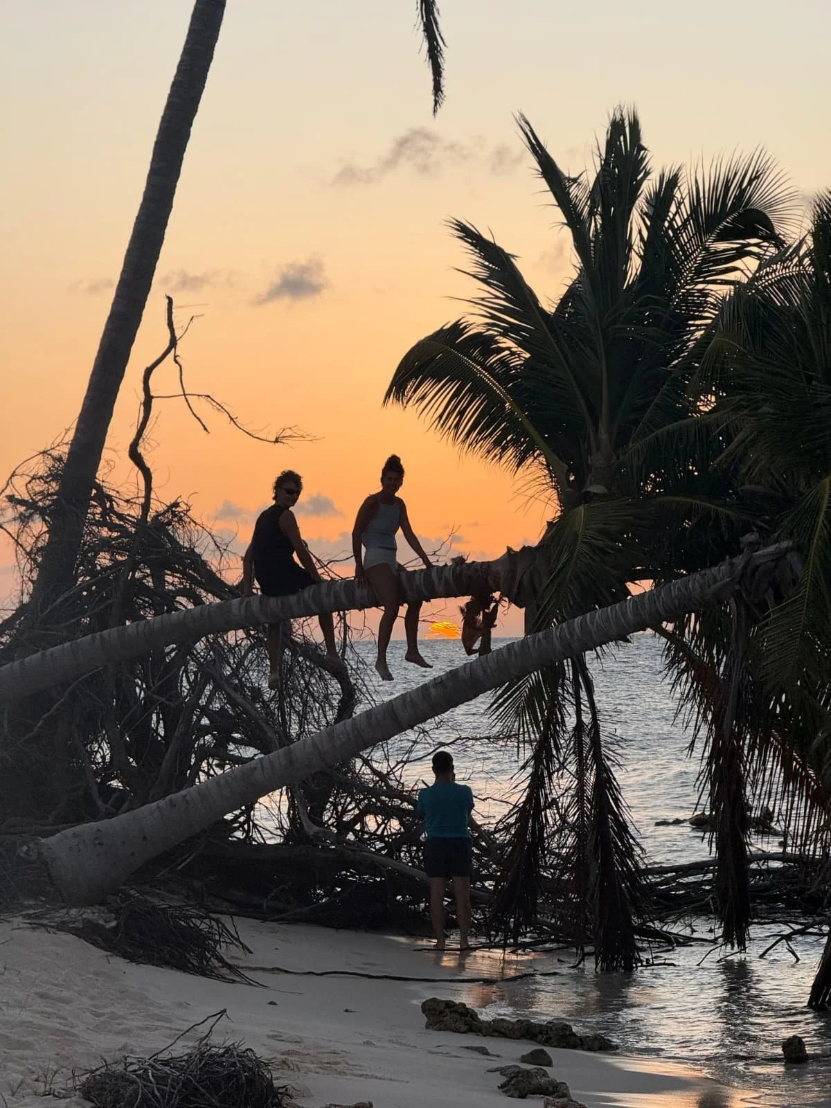 WhatsApp Image 2026-04-07 at 13.42.09.jpeg