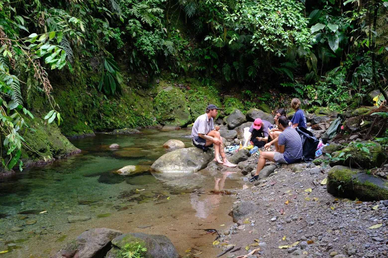 WhatsApp Image 2026-04-07 at 12.50.49.jpeg