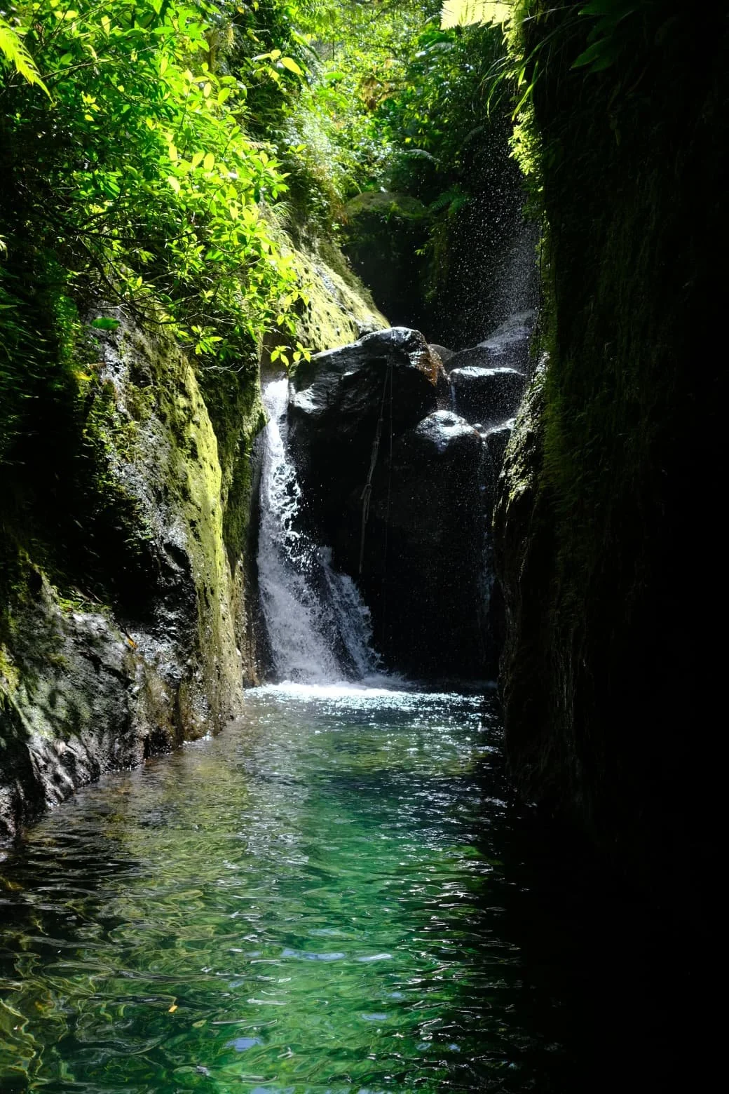 WhatsApp Image 2026-04-07 at 12.50.52 (1).jpeg