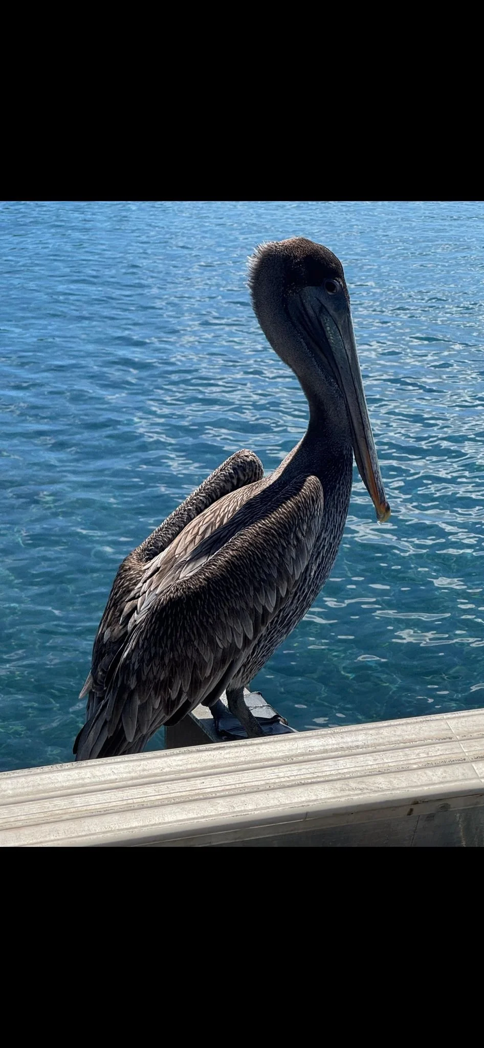 WhatsApp Image 2026-04-08 at 22.58.11.jpeg