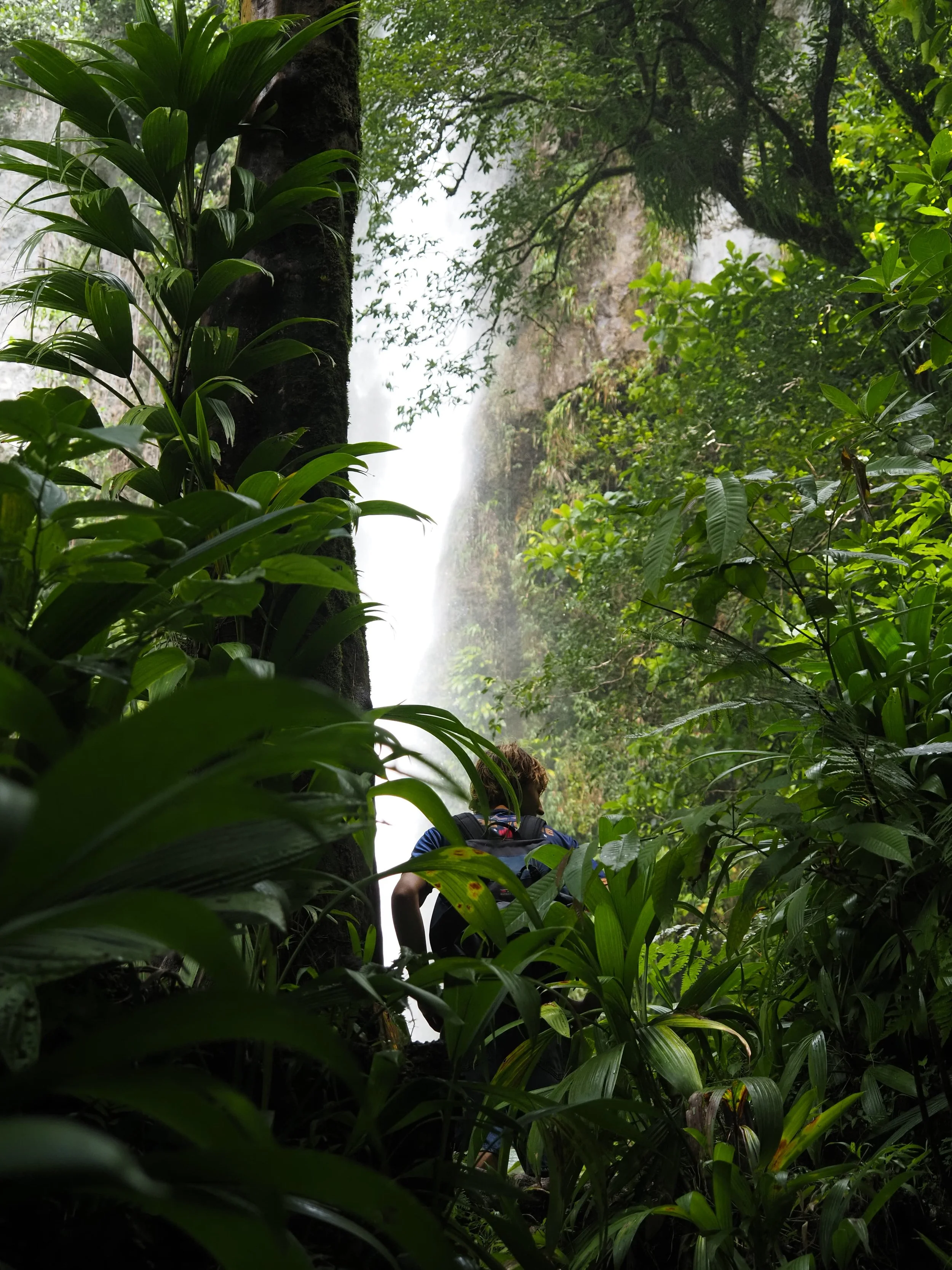 WhatsApp Image 2026-04-13 at 17.06.14 (1).jpeg