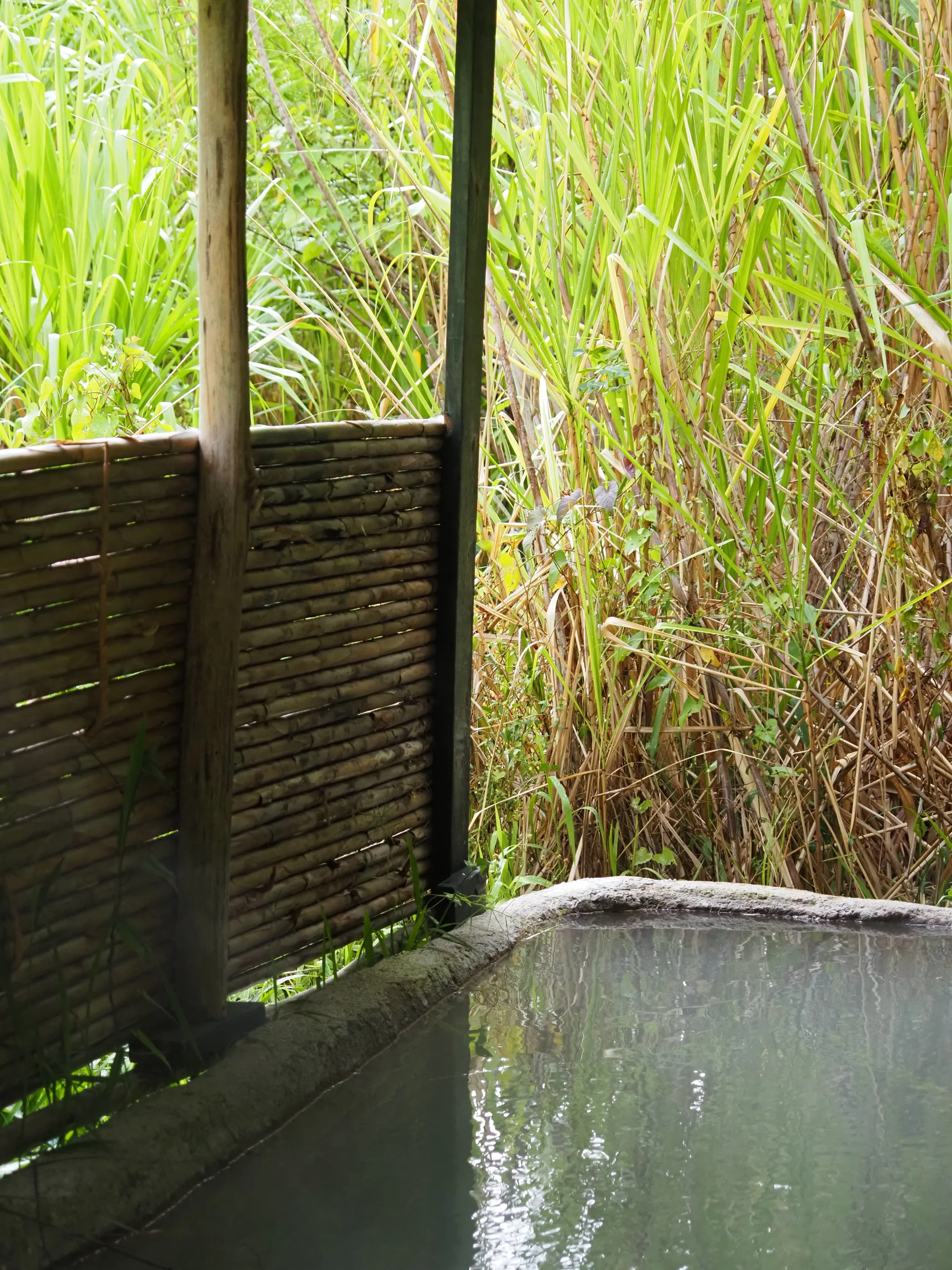 WhatsApp Image 2026-04-13 at 17.06.17.jpeg