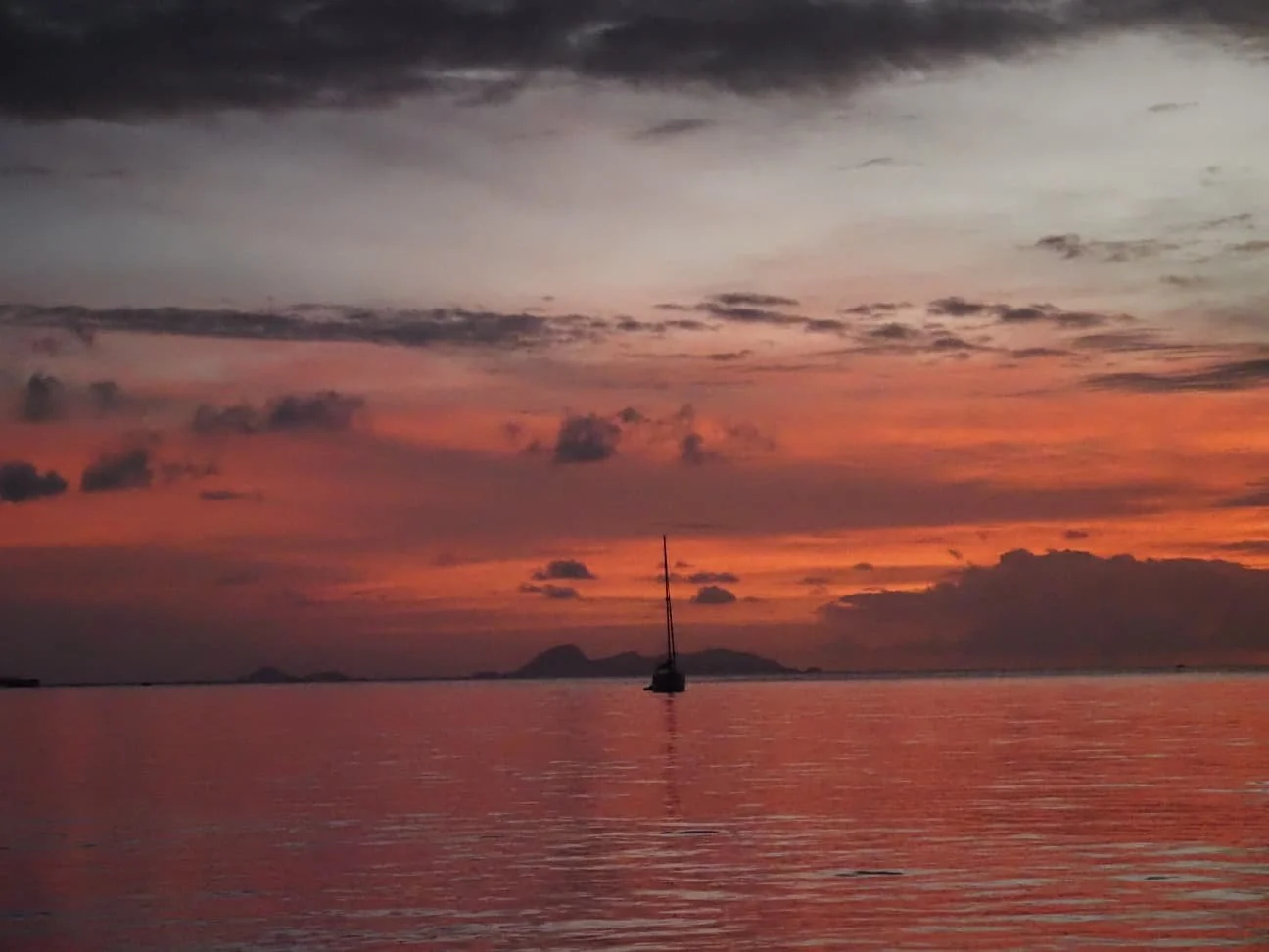 WhatsApp Image 2026-04-13 at 17.05.21 (1).jpeg