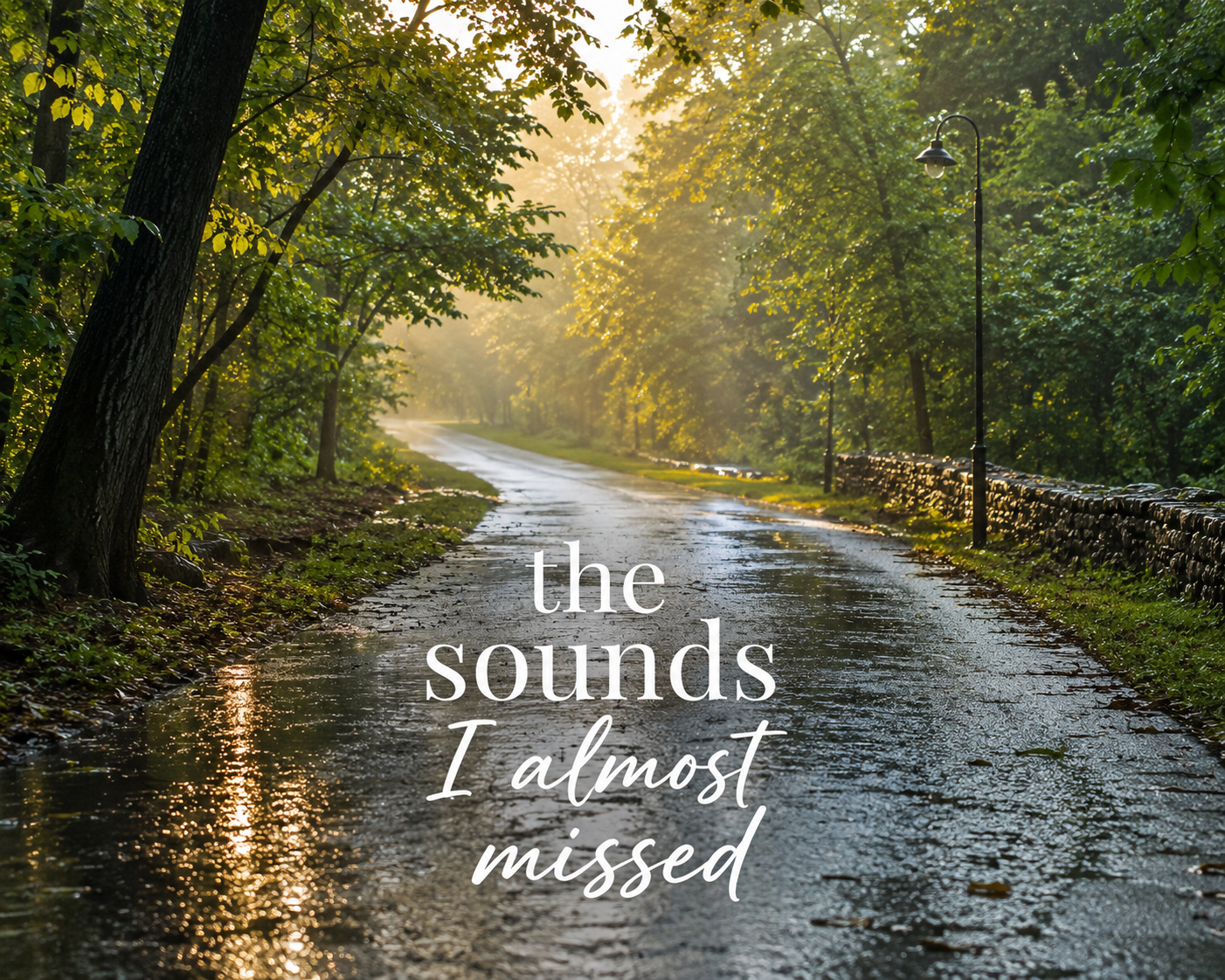 The Sounds I Almost Missed