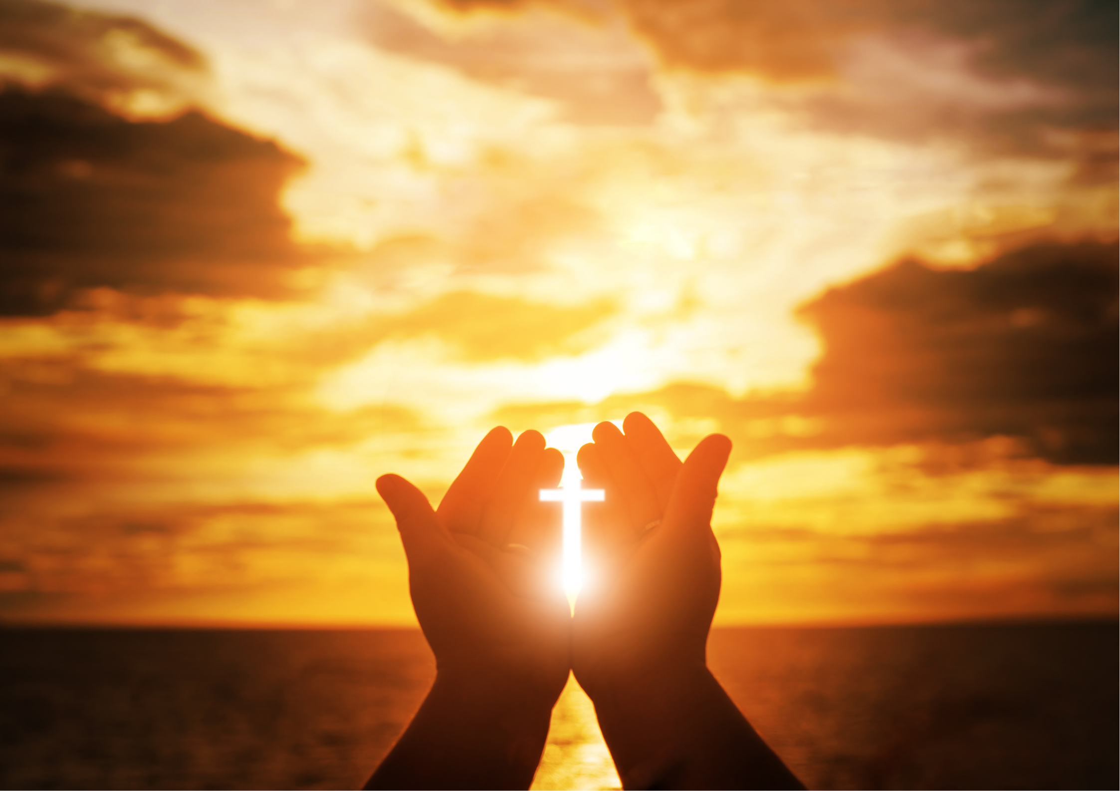 Cultivating Gratitude and Thanksgiving