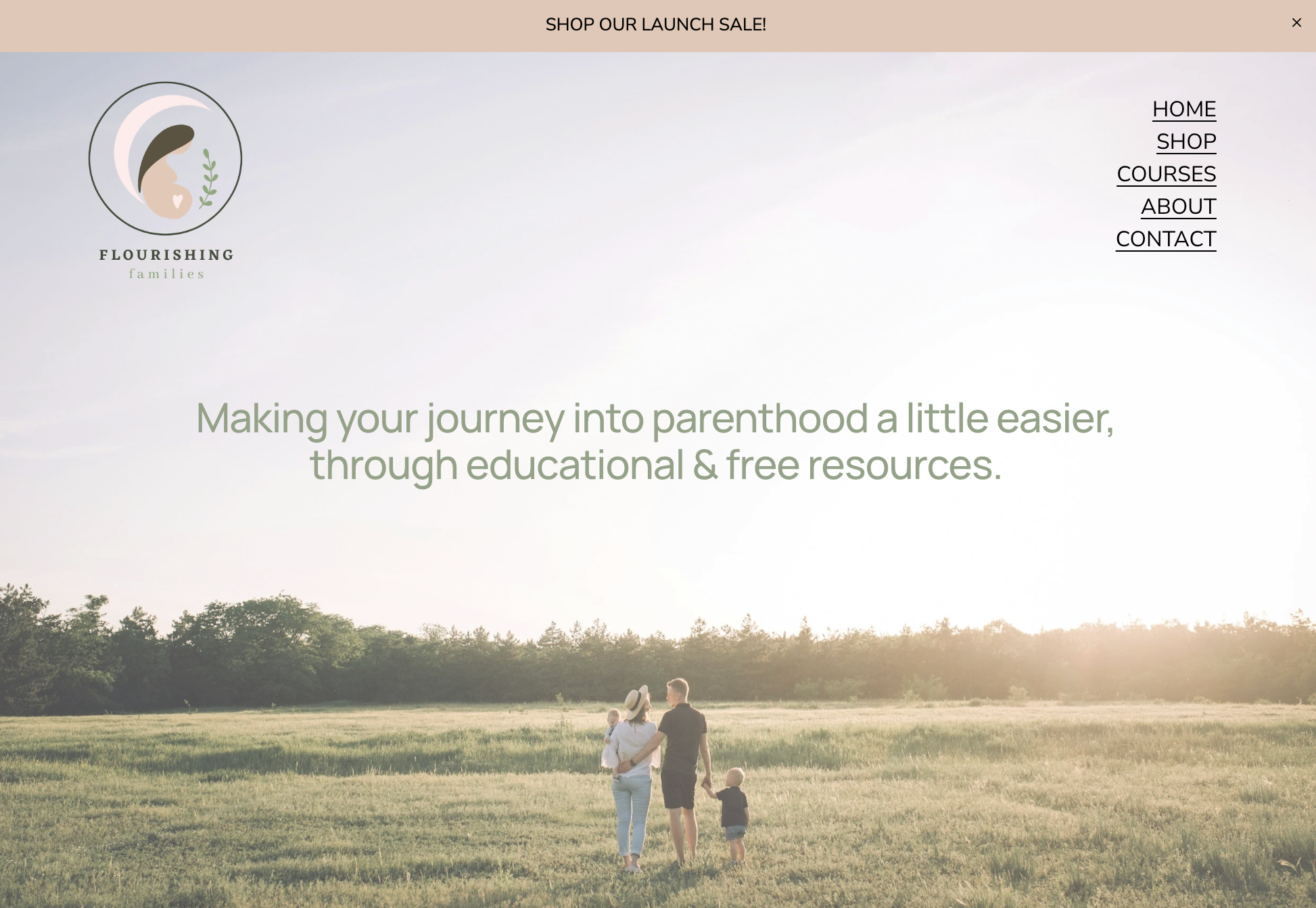 Flourishing Families