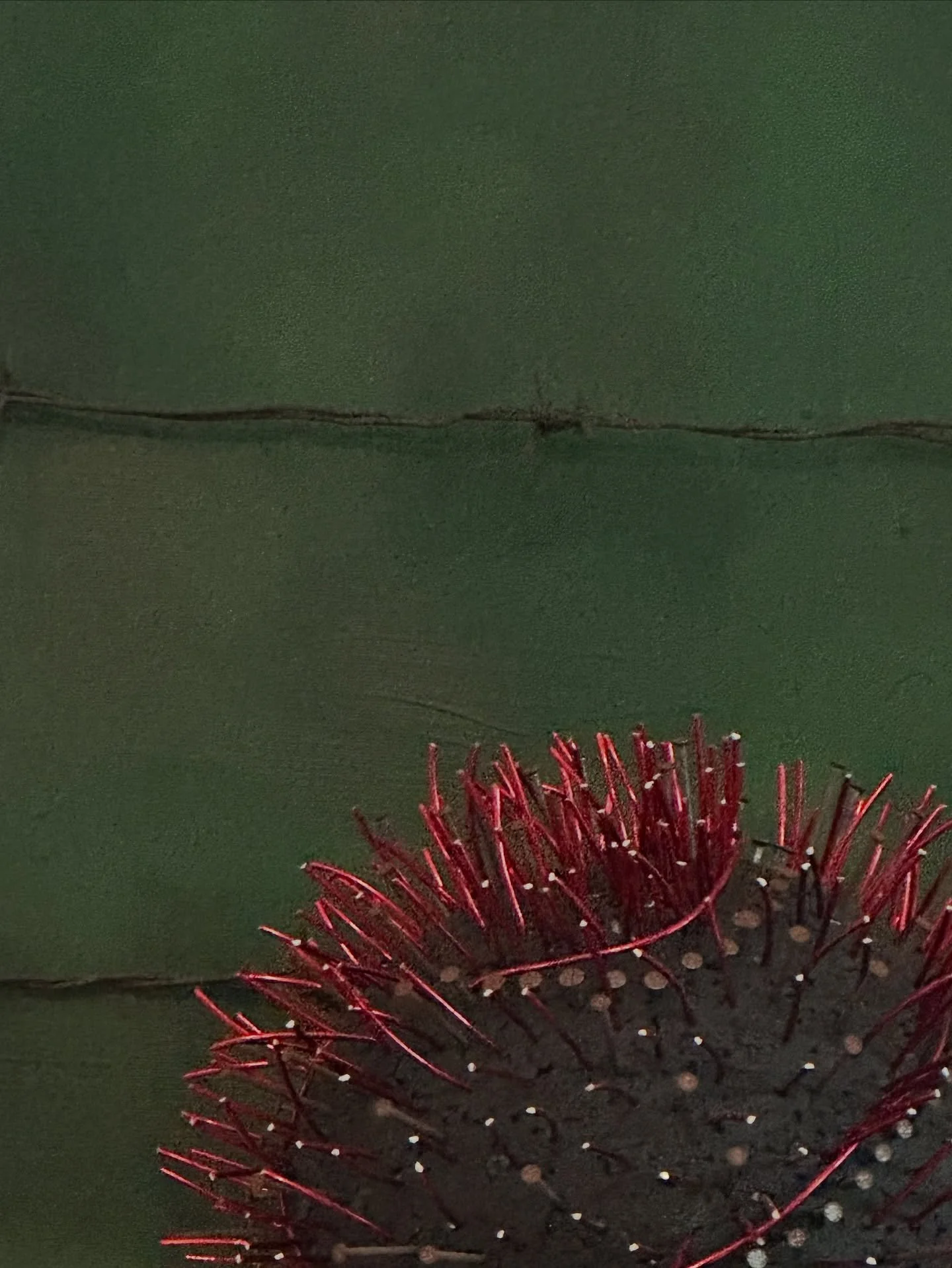 Entre tension et douceur, entre blessure et r&eacute;silience.

En fond, la toile &mdash; tiss&eacute;e de fils barbel&eacute;s &mdash; trace les cicatrices du monde.
En avant, la sculpture de clous s&rsquo;&eacute;l&egrave;ve comme une peau vivante,