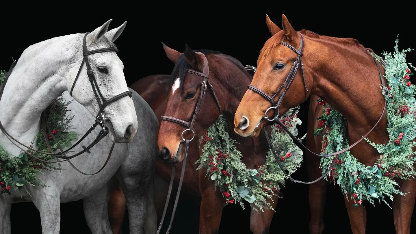 Merry Christmas! 🎄🎁 ✨ 
#jgwranch