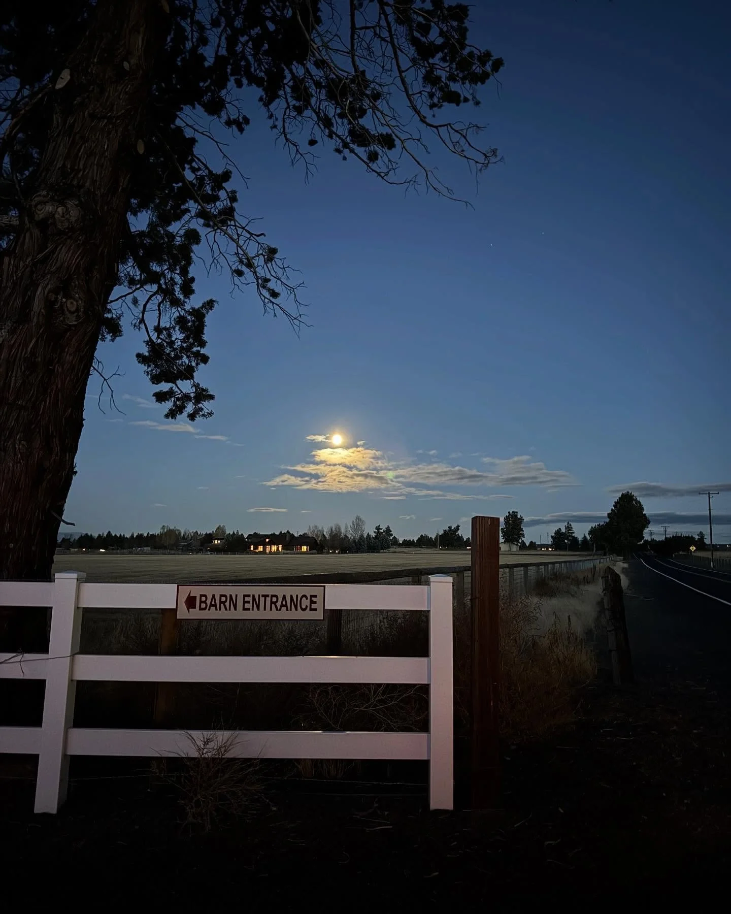 🩵💙🩵 #jgwranch