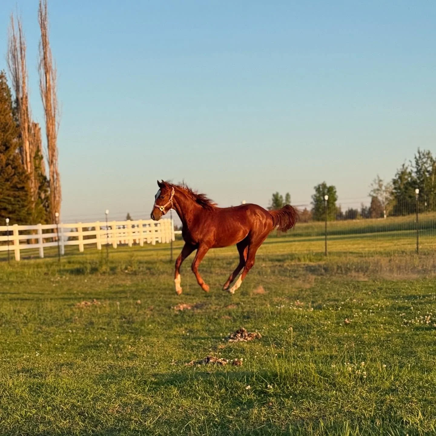 Jimmy & cliffy 💕🦄