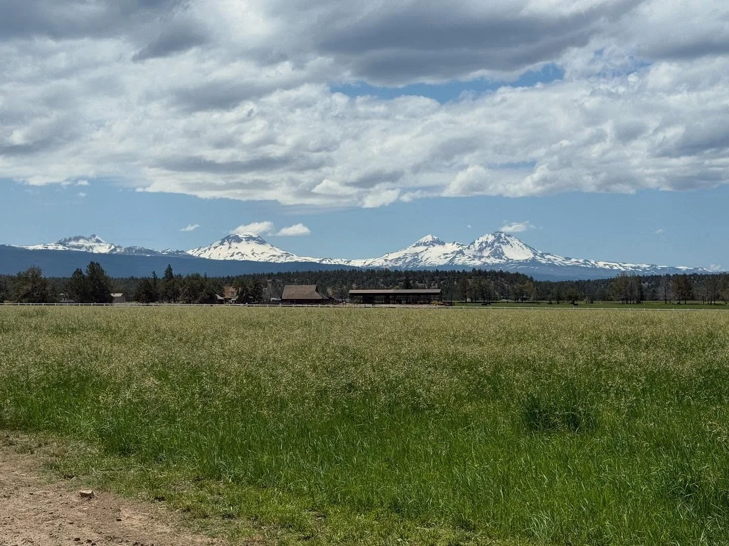 Our hay field is going good! #jgwranch