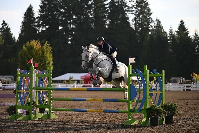 All our horses and clients did amazing at the Wilsonville show last week! ✨#jgwranch