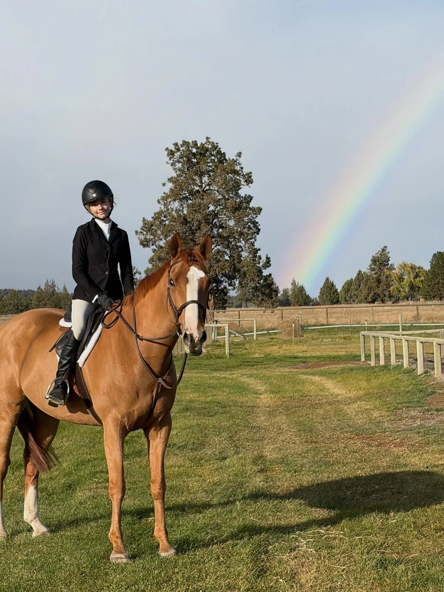 So proud of all of JGW ranch’s students at the year-end HDHJA show! We are all looking forward to next year’s show season!  #jgwranch #voltairedesign