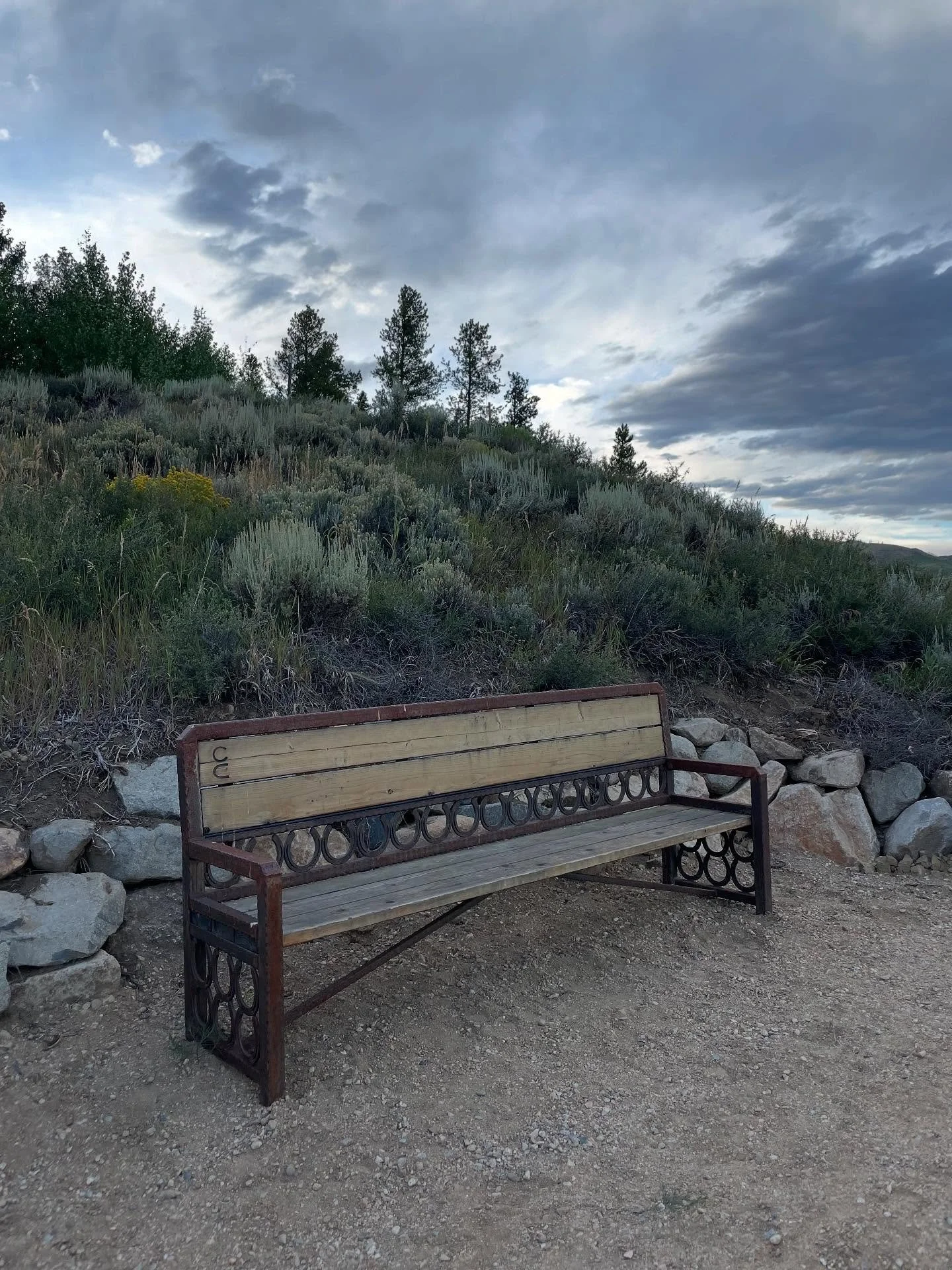 Dear Bench Nation, after a brief bench-sitting hiatus, I would like to officially announce that I am back in the saddle. That&rsquo;s right, you&rsquo;ve heard it straight from the horse&rsquo;s mouth. I am sitting down once again. Yesterday, I had t