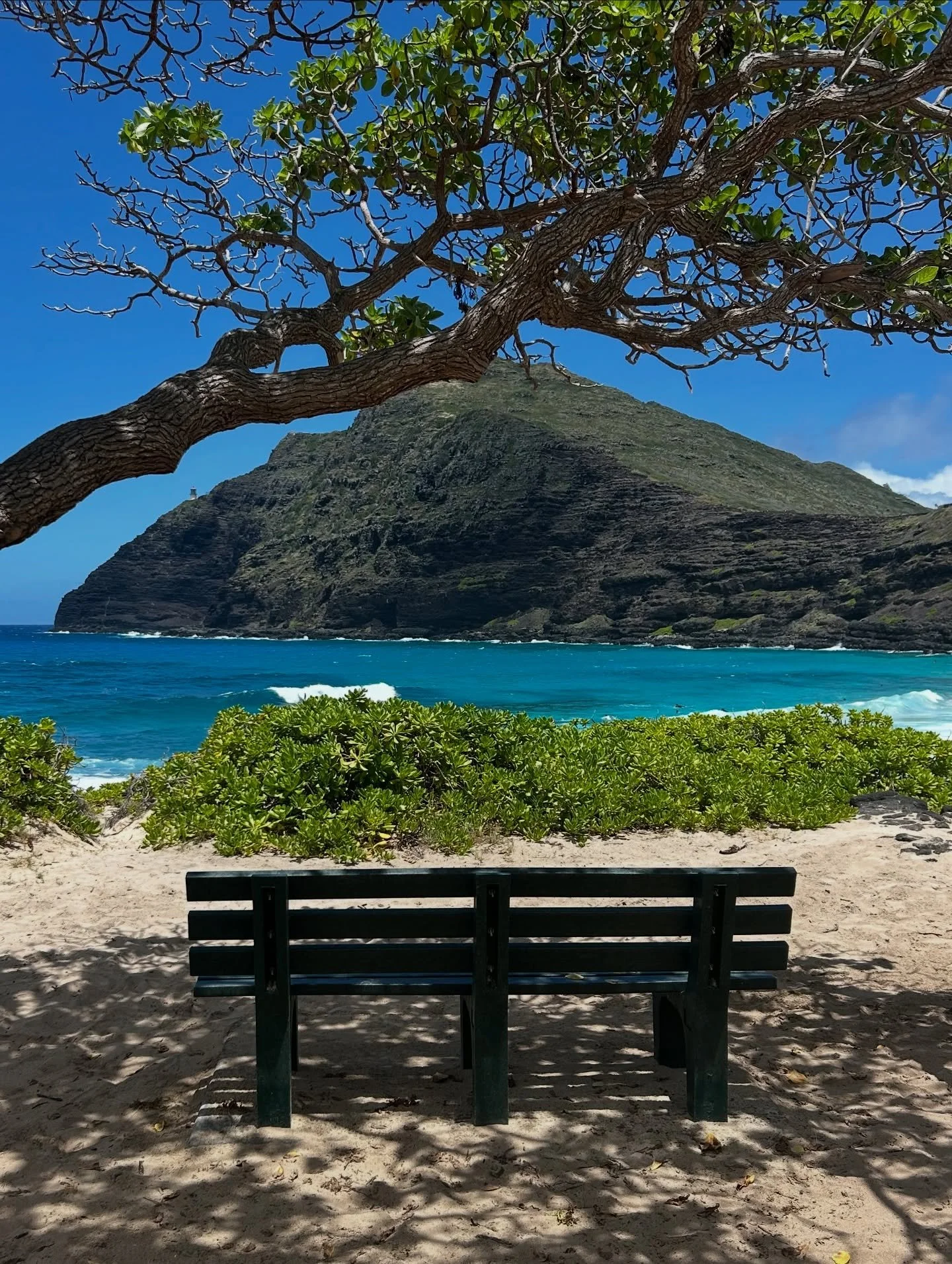 BENCHES OF THE WORLD BABYYYYY! You guys know what&rsquo;s up. We SIT DOWN, and we do it damn well. Seriously though, I&rsquo;m so grateful for you all. Thank you for sending me all these benches, it really is incredible to see you all taking some tim