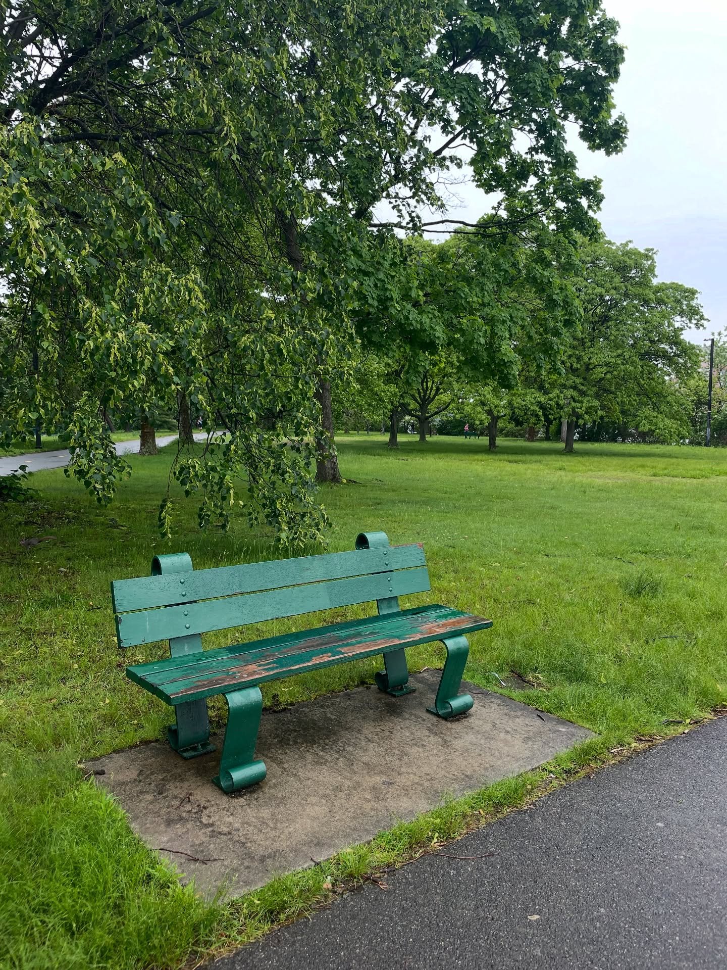 My butt is wet. But that&rsquo;s ok because I&rsquo;m here in Boston, Massachusetts sitting down on benches! I&rsquo;ll tell you right off the bat that Boston has got some FANTASTIC benches. And Bostonians love a good sit down too. 

Here are two ben