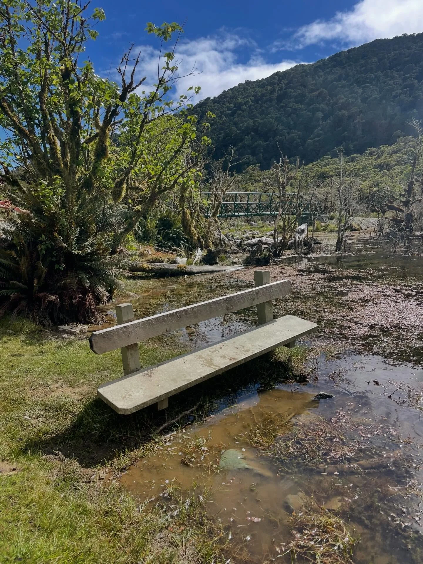 2025 sure was benchelicious. It was the beginning of Project Sit Down, a global bench-sitting community focused on embracing simplicity, human connection, solitude, and the present moment. Together, we sat on thousands of benches in 2025, all across 